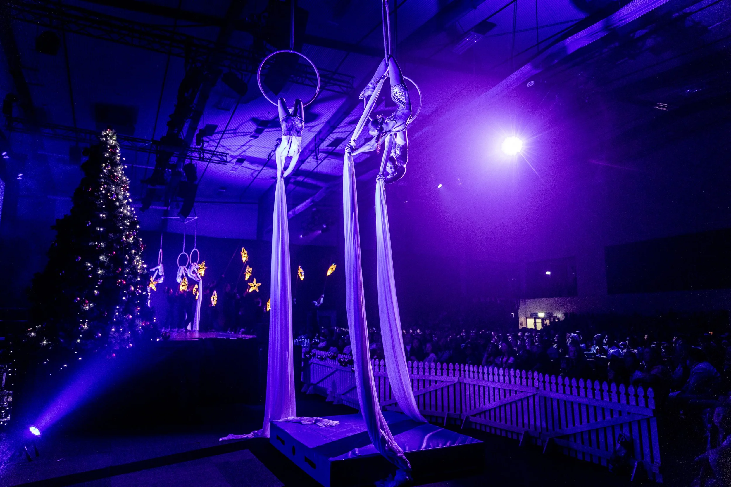 Still Vision - 8 of 17.jpeg