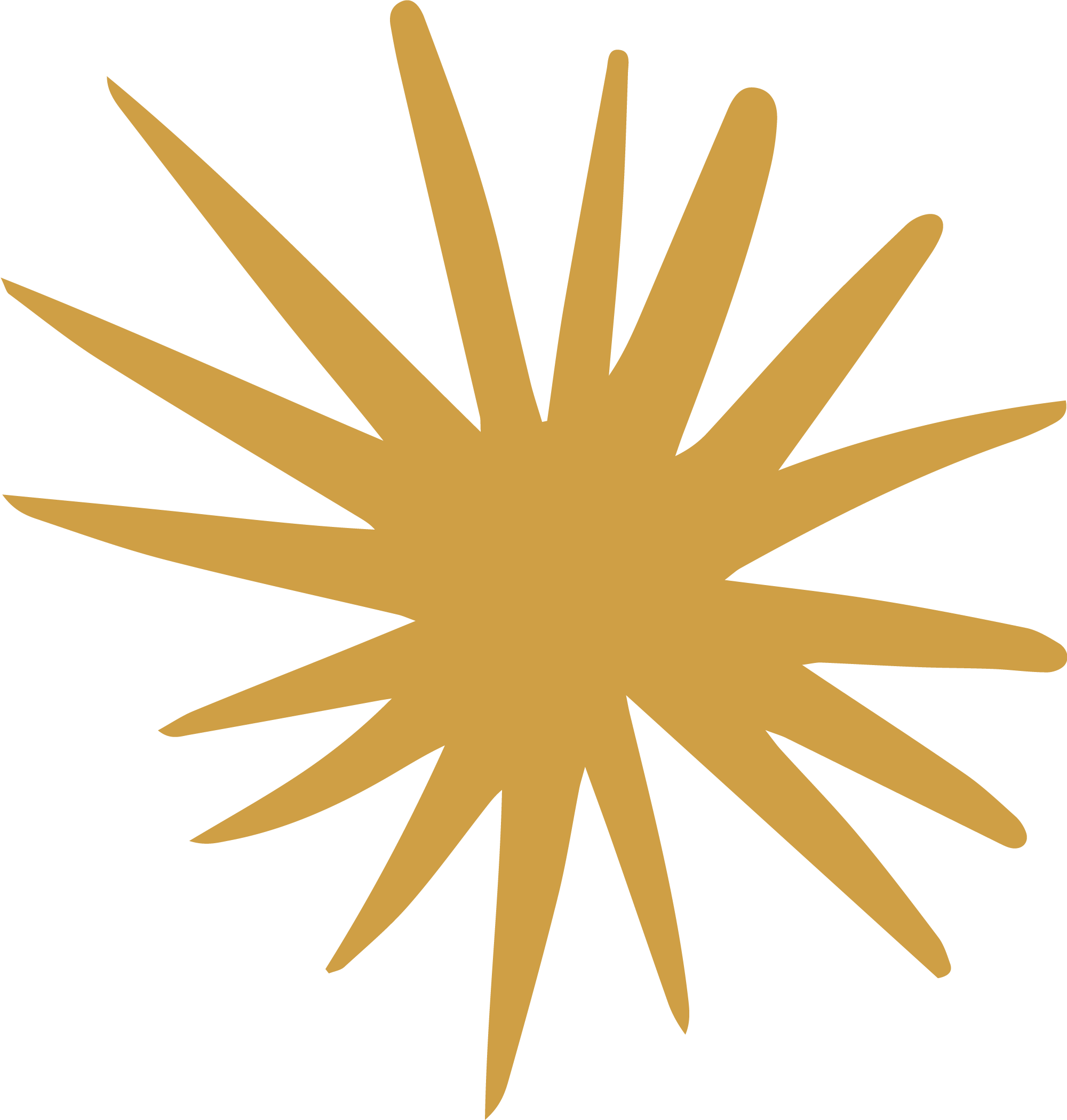 Gold starbust illustration