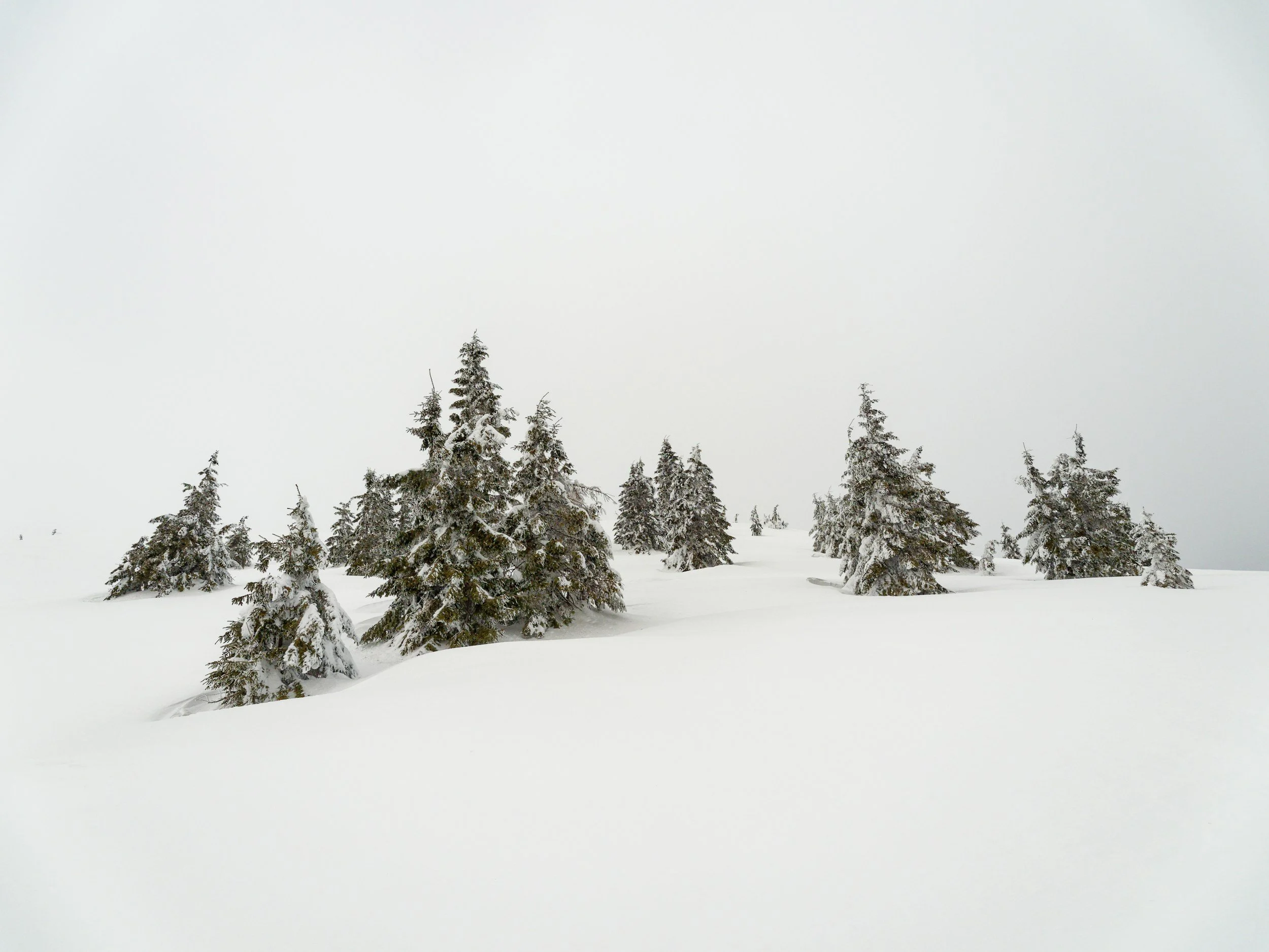Life in Northern Minnesota: Rugged Beauty, Quiet Resilience