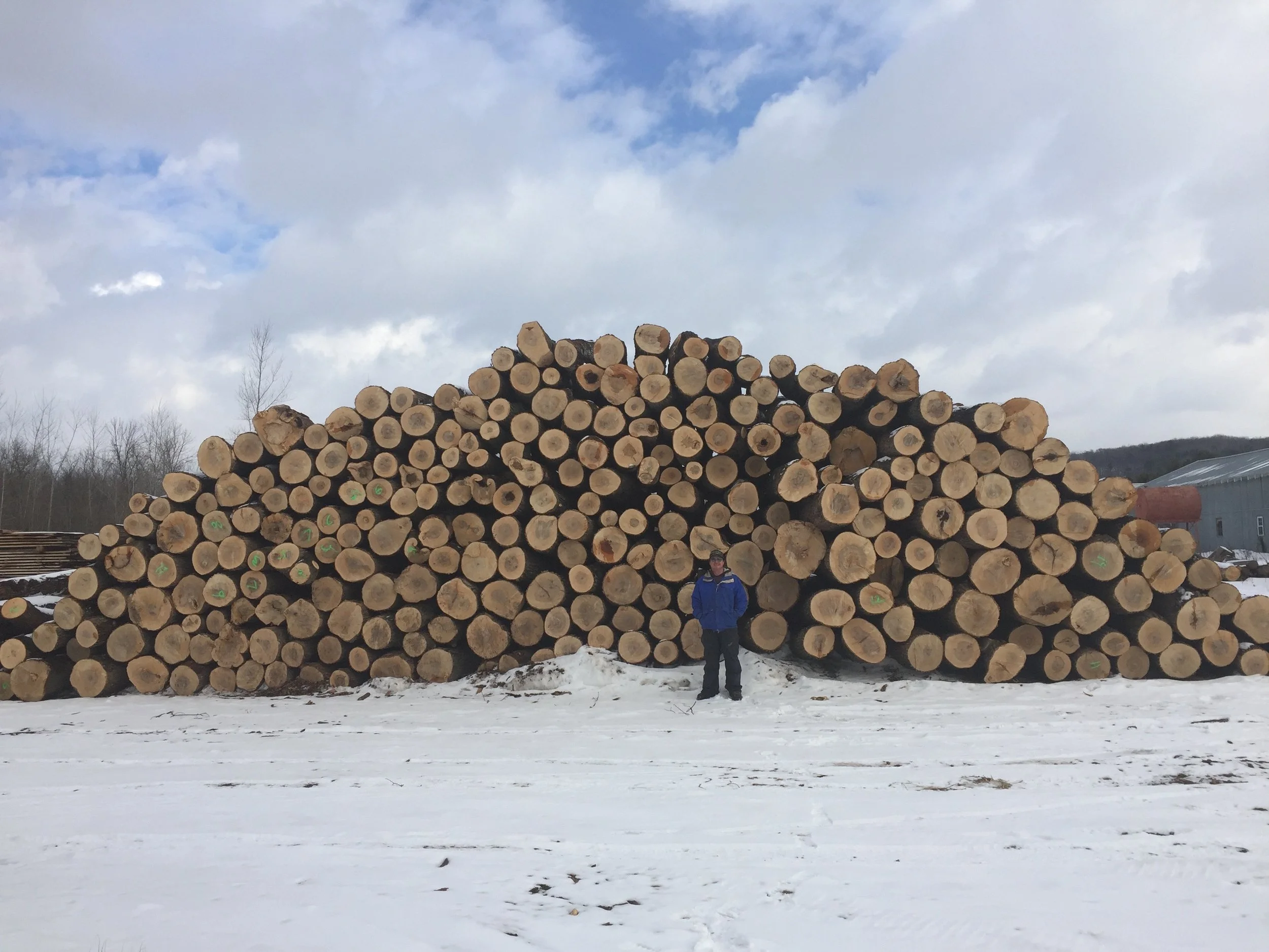 A large stack of cut logs arranged in a pyramid shape outdoors in a snowy area, with a person standing in front of the logs. The sky above is partly cloudy.