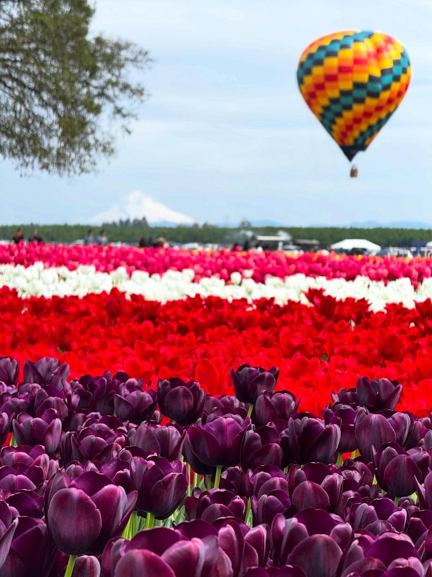 Happy Spring 💐

This Earth Day, we&rsquo;re reflecting on all the ways the planet supports us on a minute-to-minute basis. 

Take time to thank a tree, breathe with the wind, dance in the rain, or ground your feet into the Earth today. Practicing re