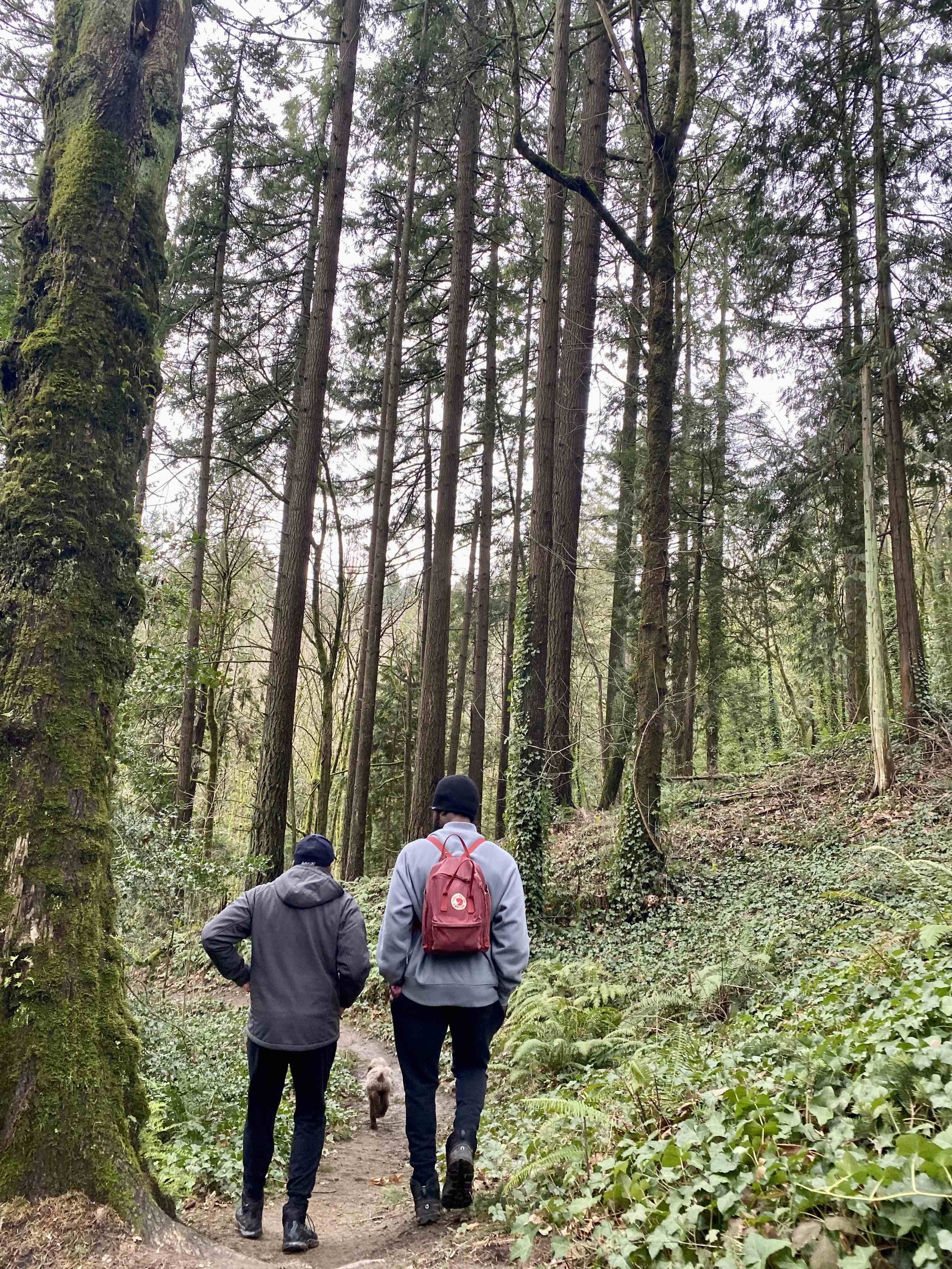 Team participating in guided forest therapy in Portland Oregon with ZEN:MNM