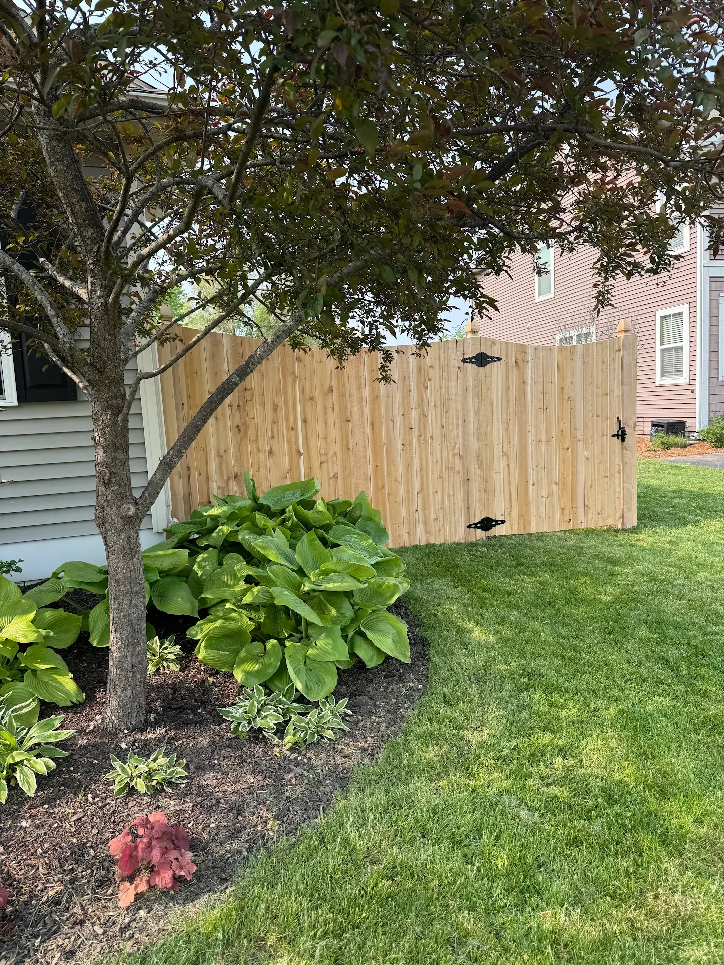 Wooden Fence.webp