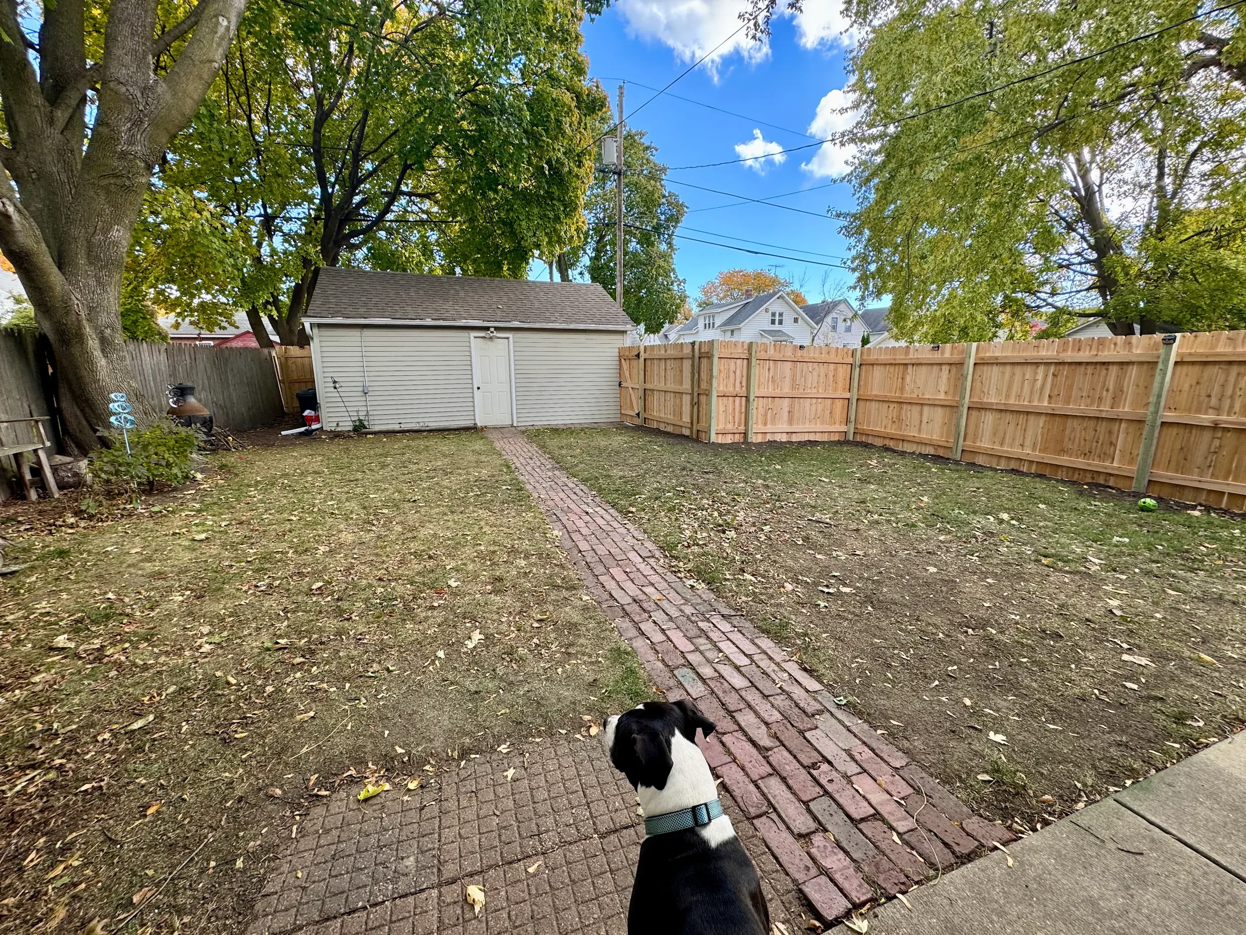 Wooden Fence 6.webp