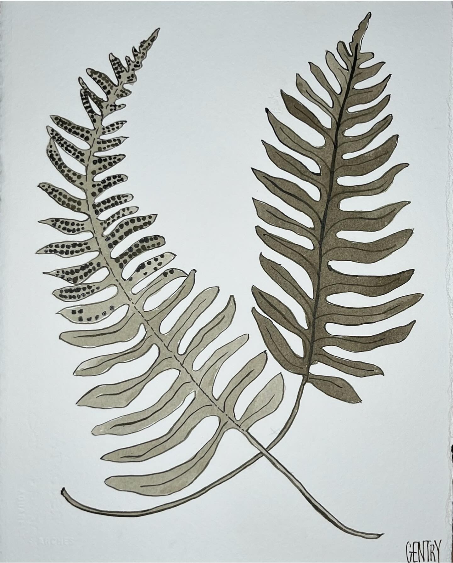 Did you know that a Boston Fern can symbolize sincerity? 

Ferns are always in style&hellip; In your house or on your walls&hellip; Sincerely Yours! 

DM for more information
Or to commission your favorite palette

#fernsofinstagram #interiors #inkan