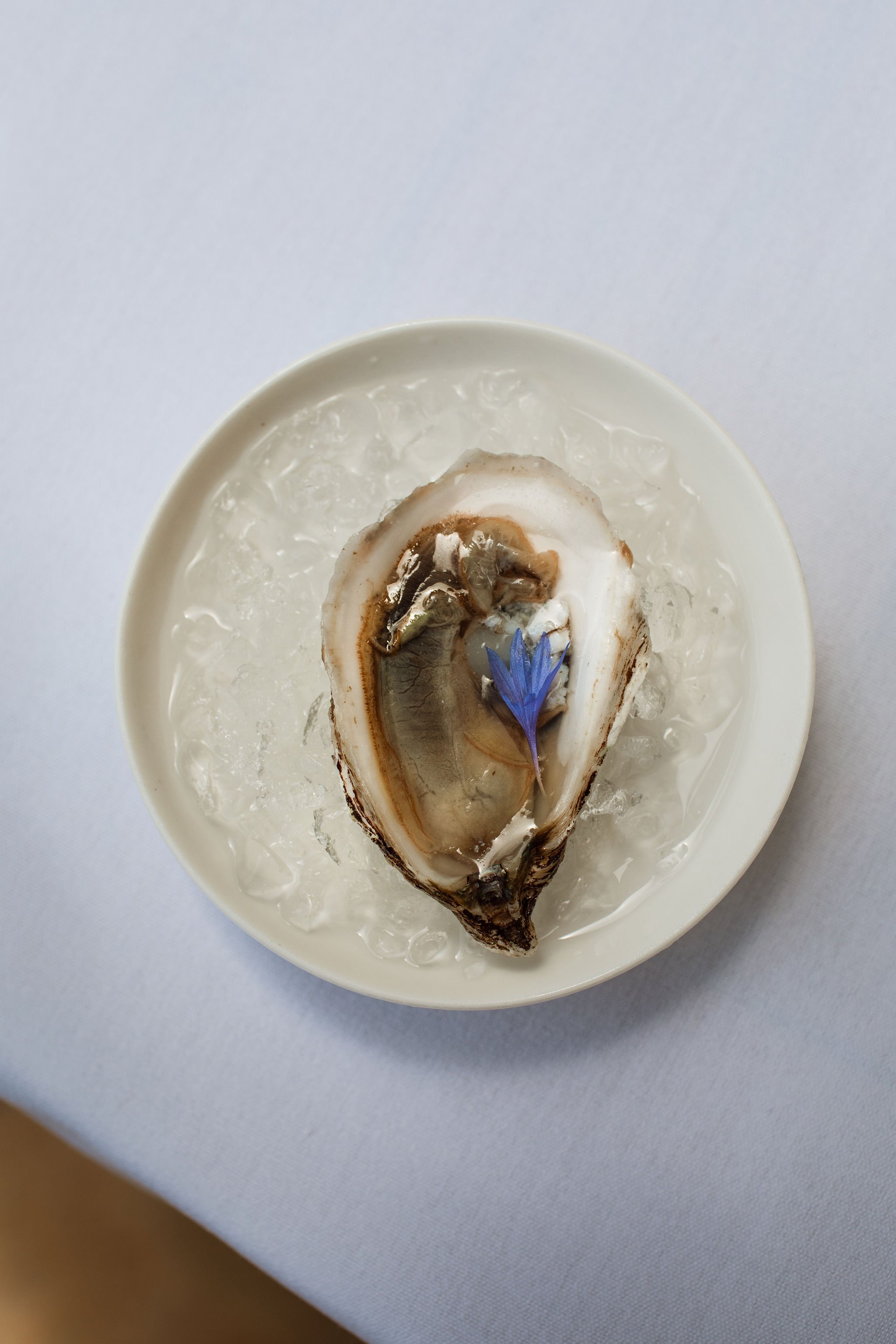 Close-up of a fresh oyster on ice in a white dish, garnished with a blue edible flower.