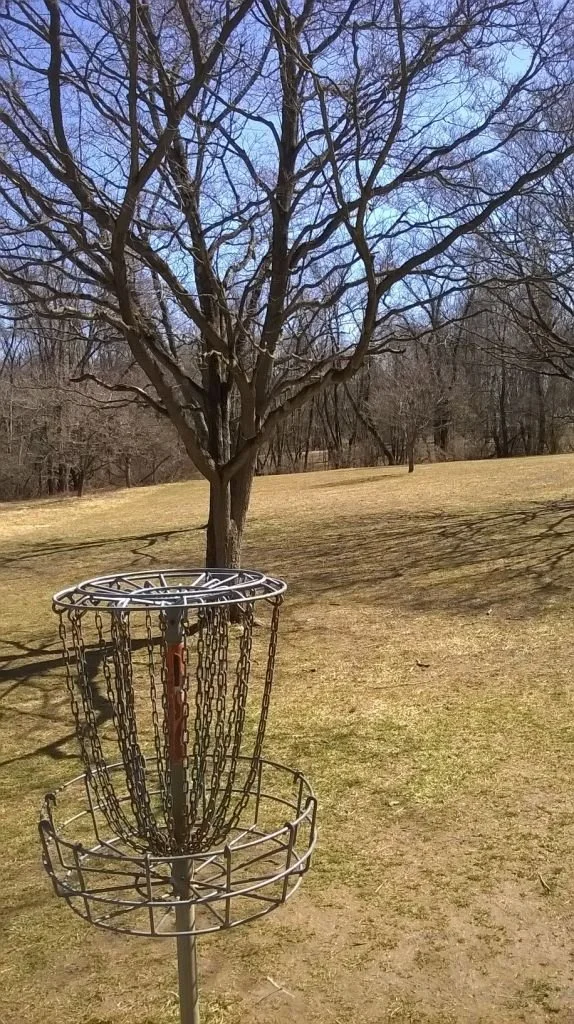 Post #6: Tournament Preparation for “The Woodchuck”
