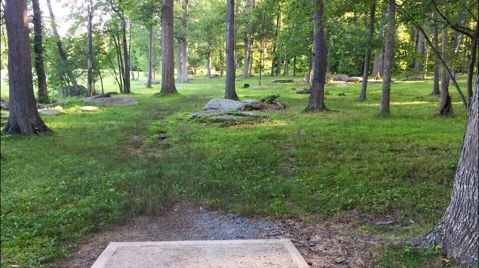 The Best-Laid Plans…