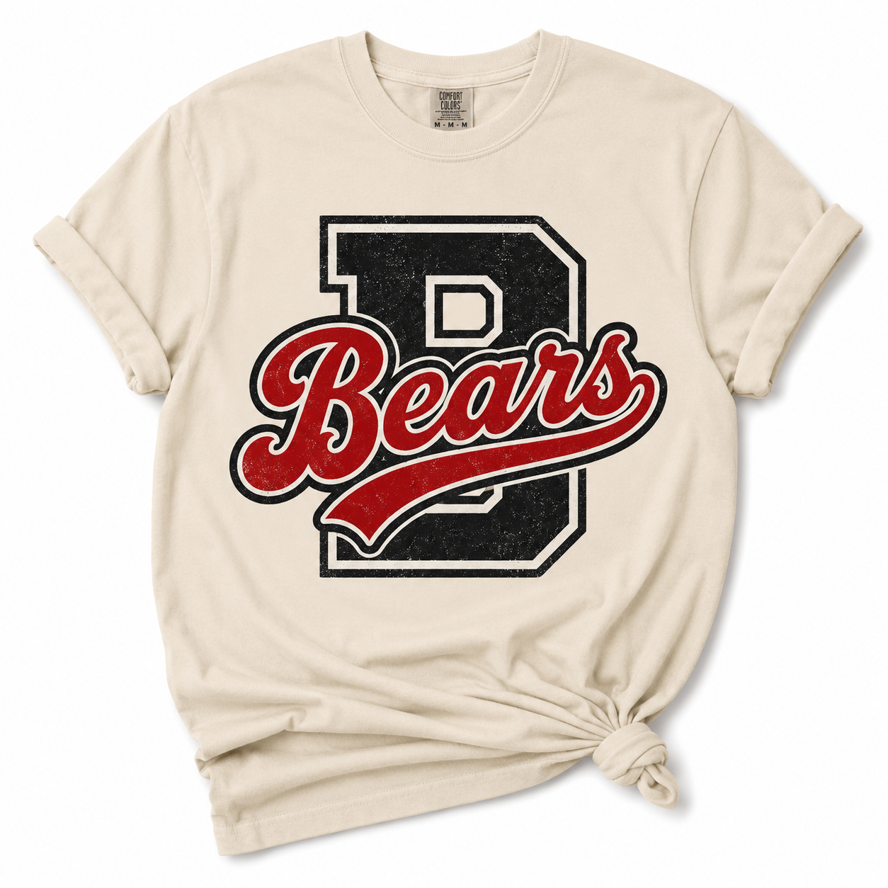 Retro bears logo .png