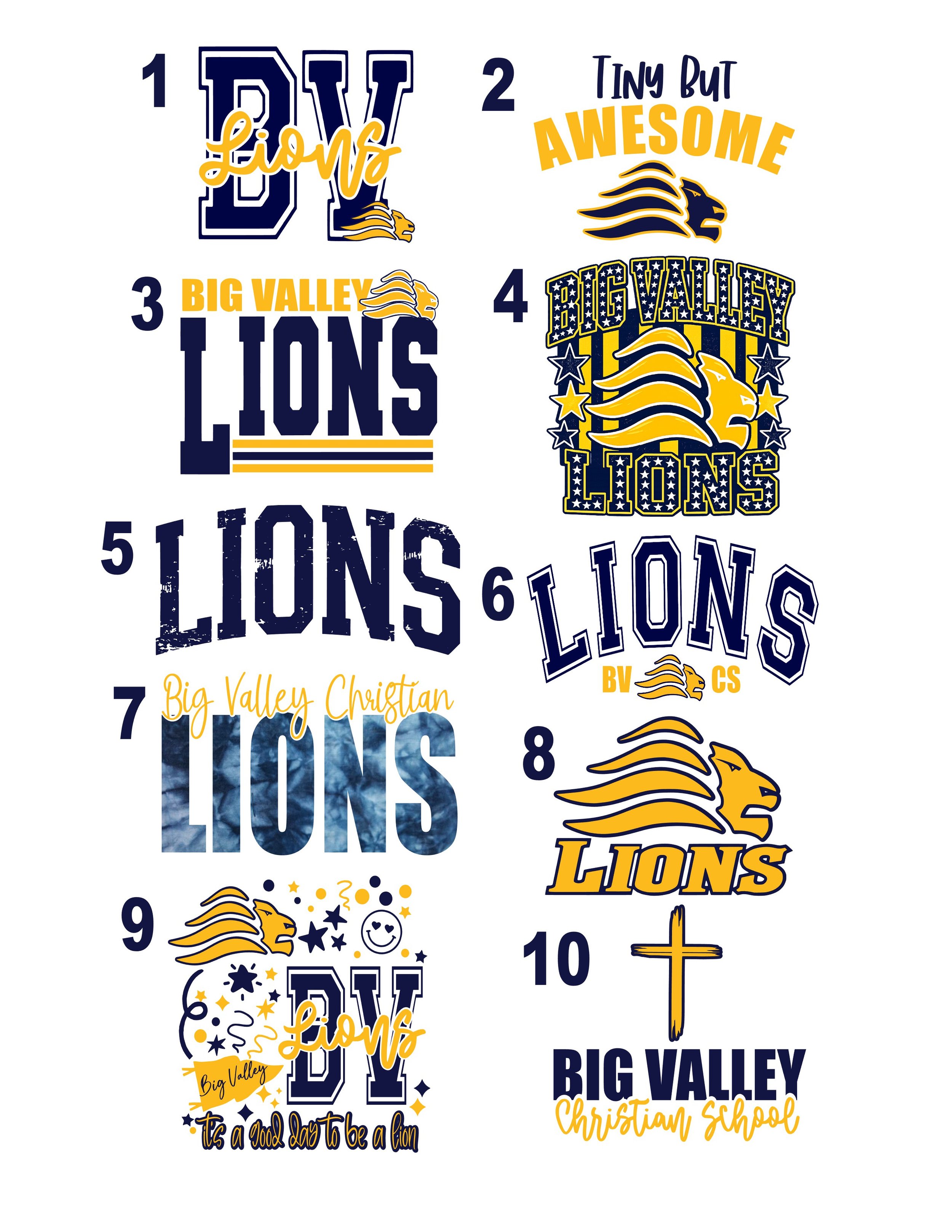 bv lions 26 27 designs.jpg