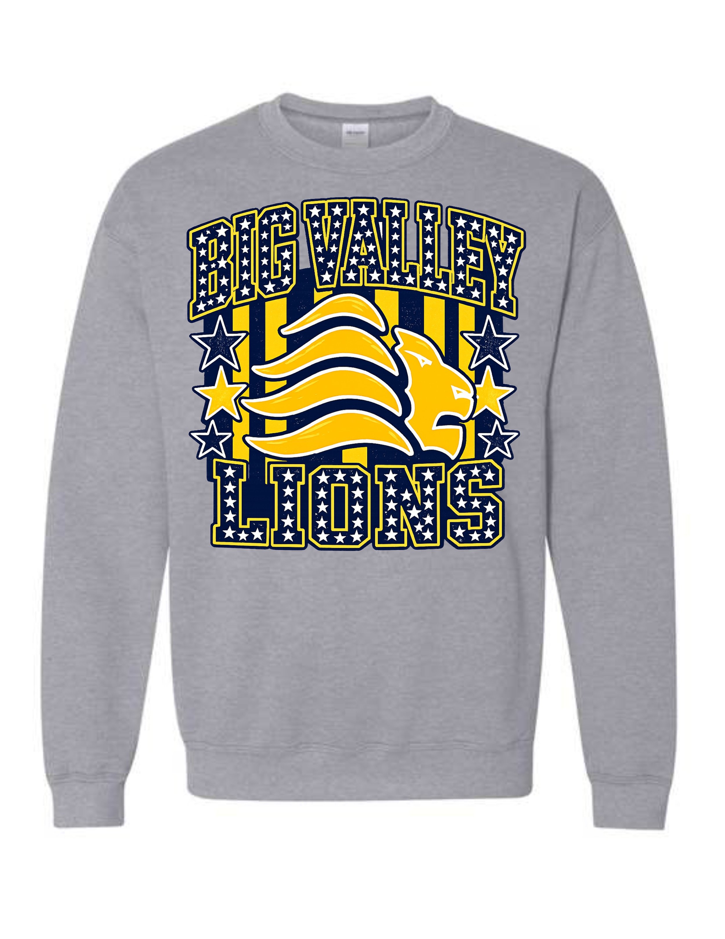 BV design 4 mockup .jpg