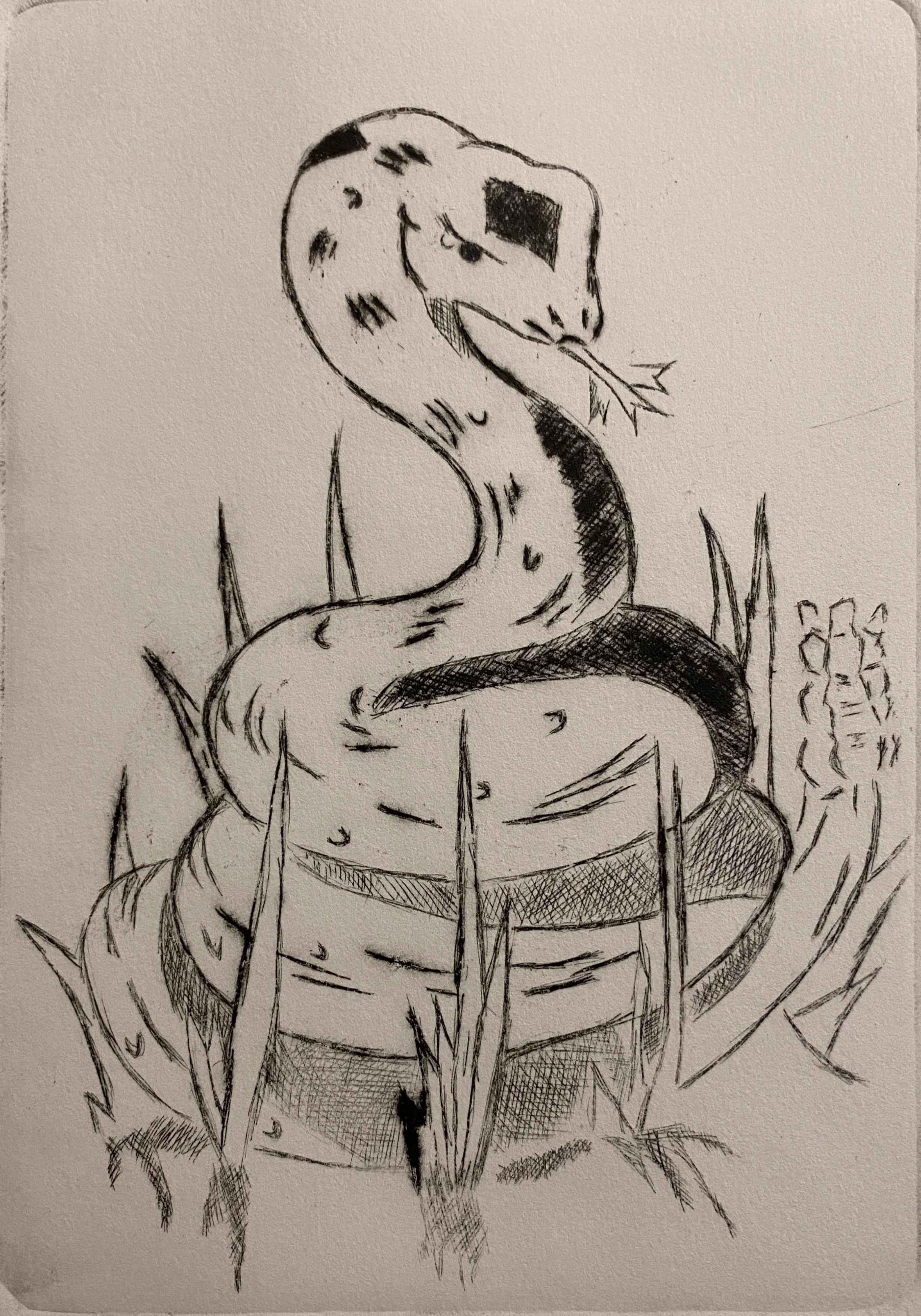 Snake