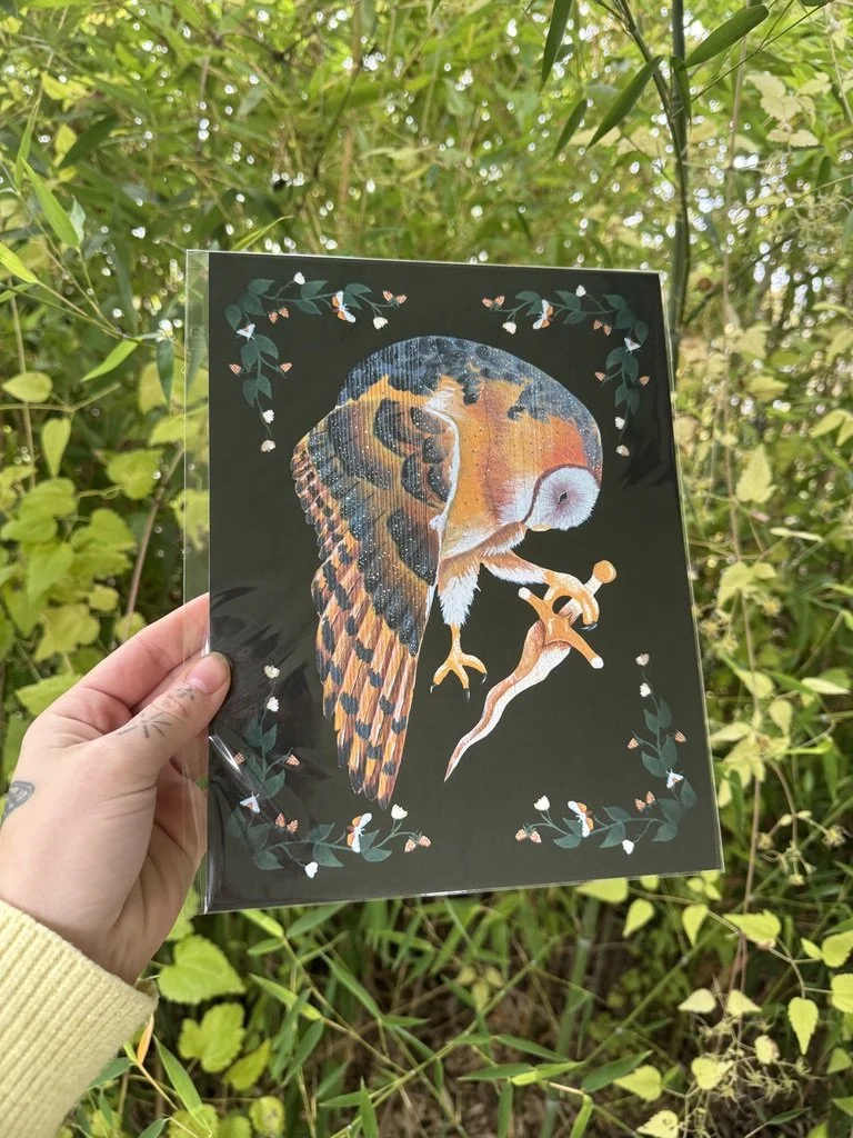 Barn Owl & Wavy Dagger Art Print