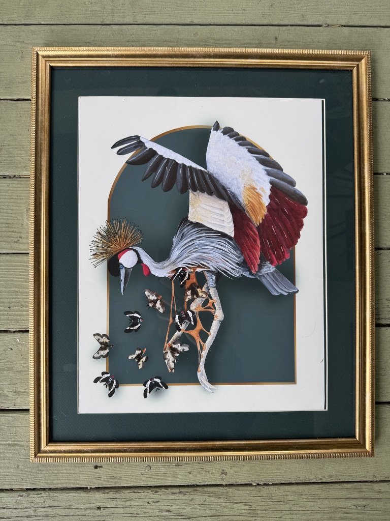 Grey Crowned Crane Art Print