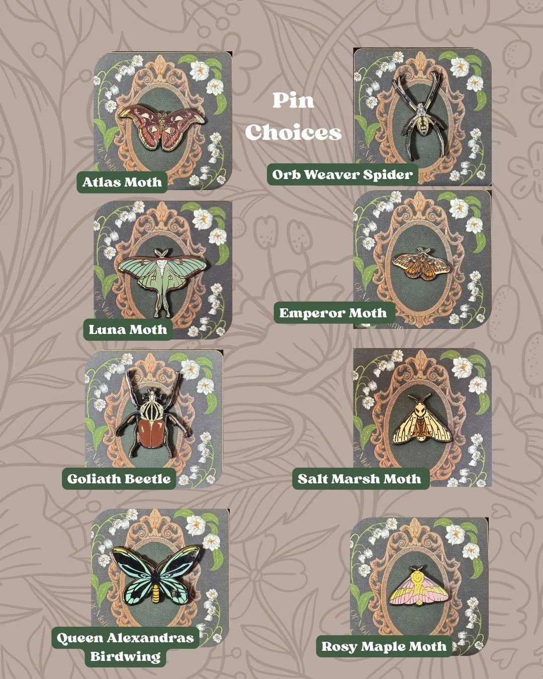 Bug Pin Choices.jpg