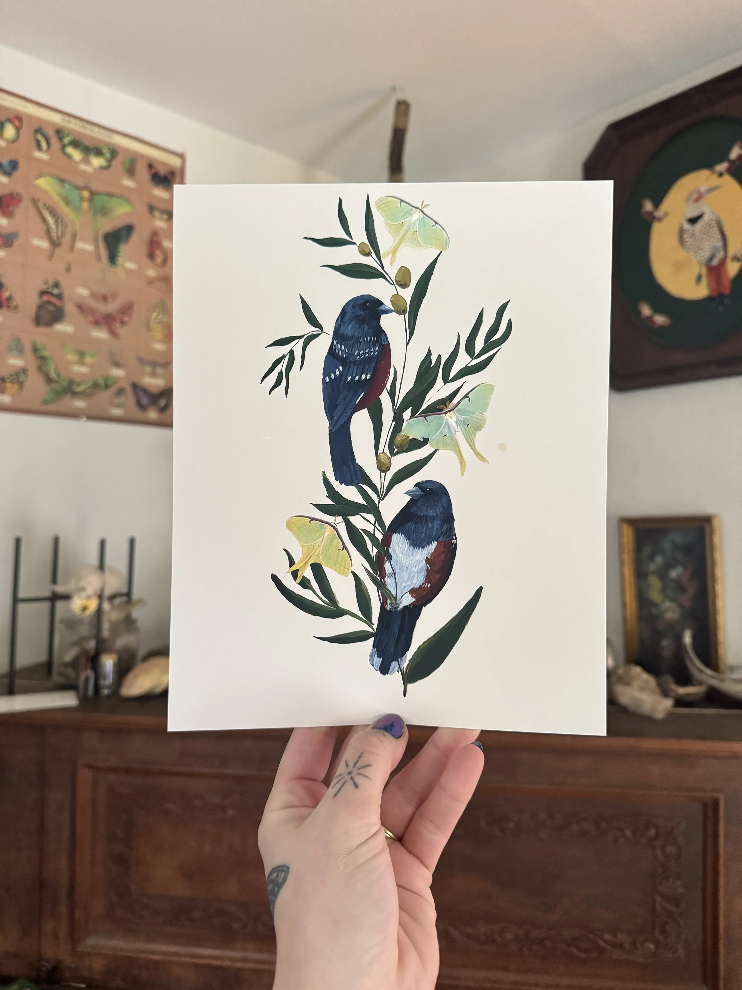 Spotted Towhee & Luna Moths Print