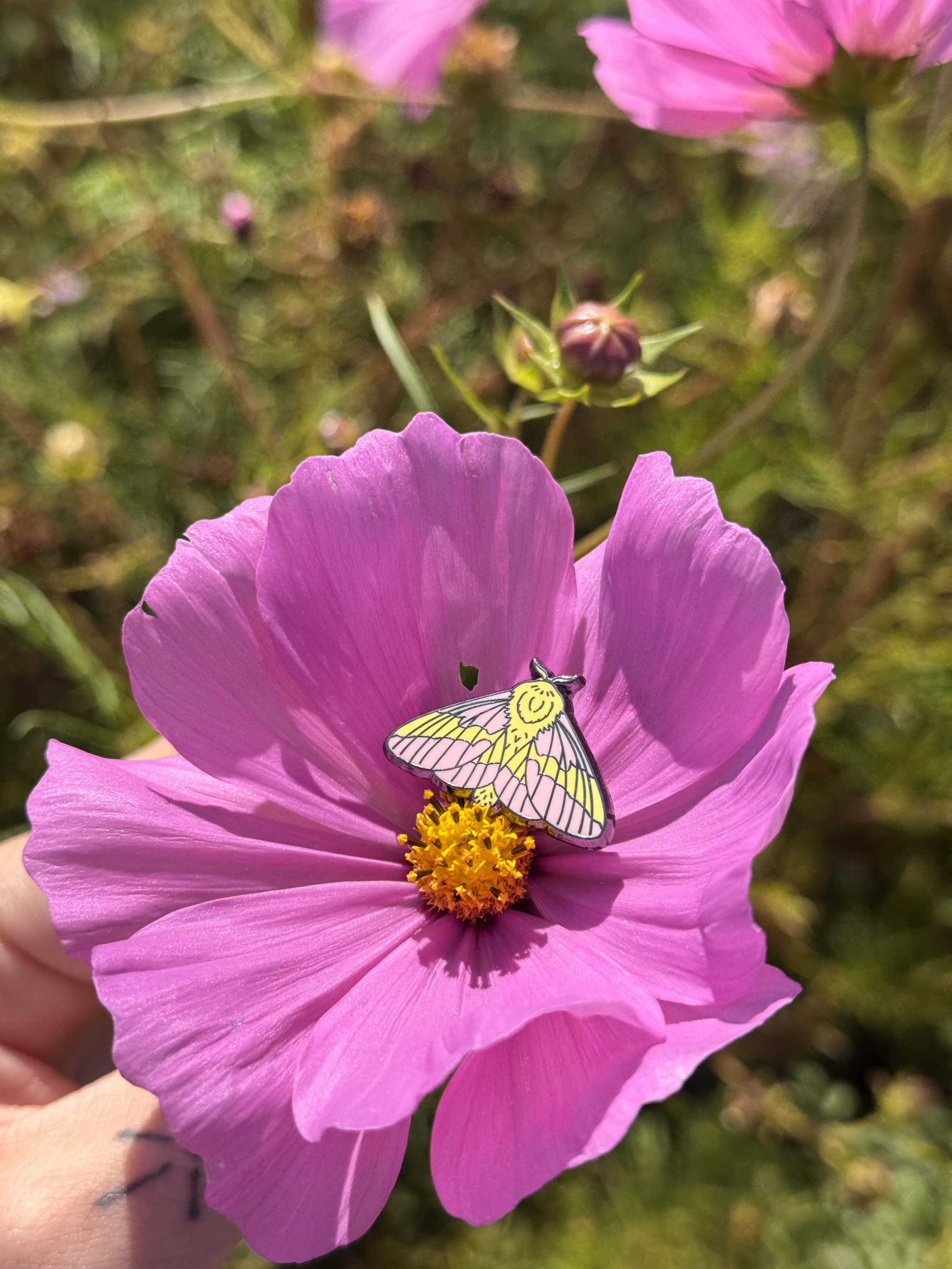 IMG_3302.jpeg