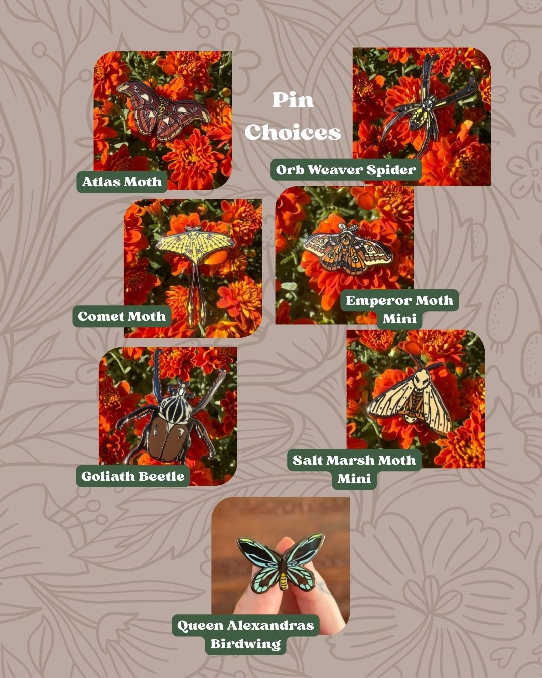 Bug Pin Choices.jpg