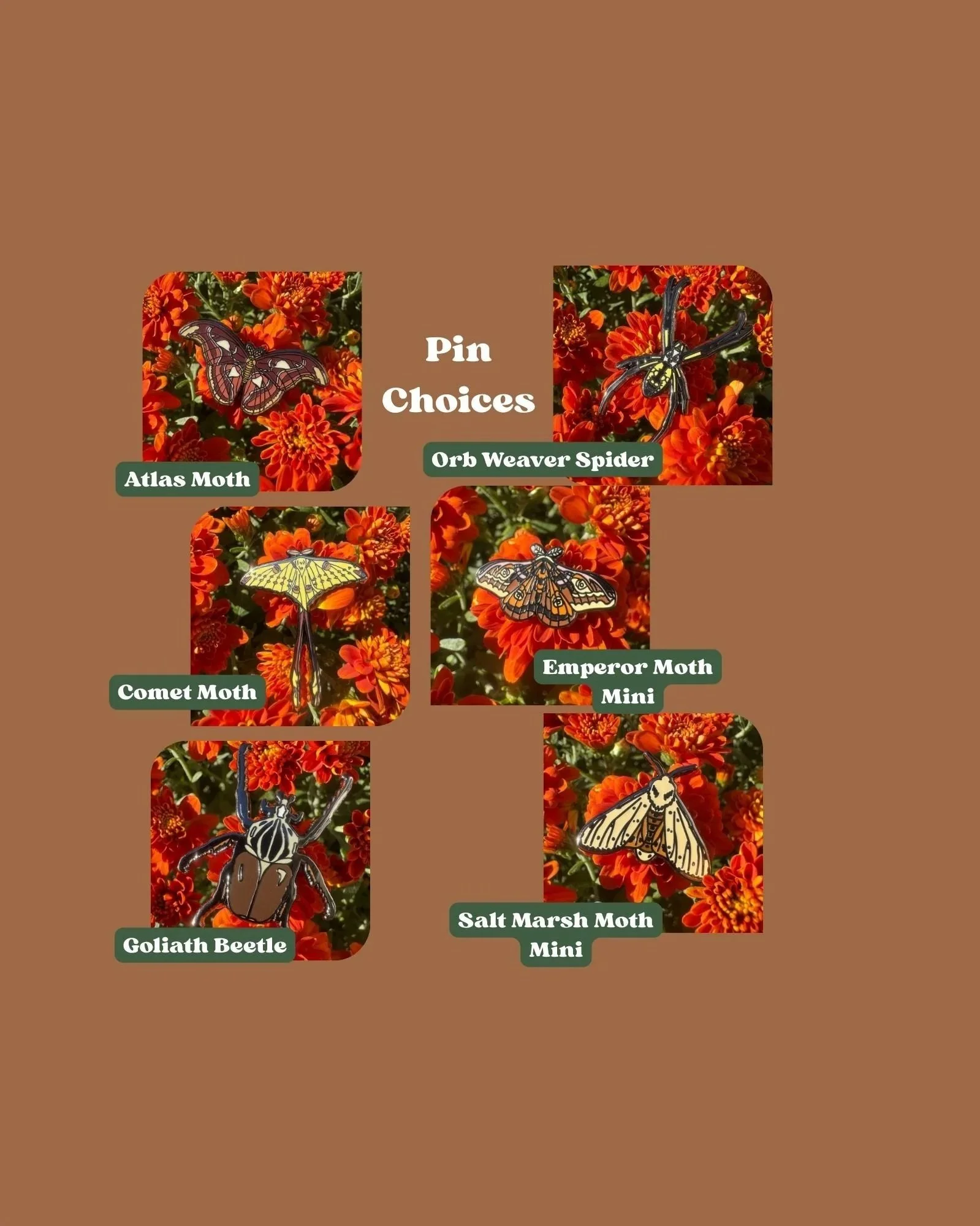Pin+Choices.jpg