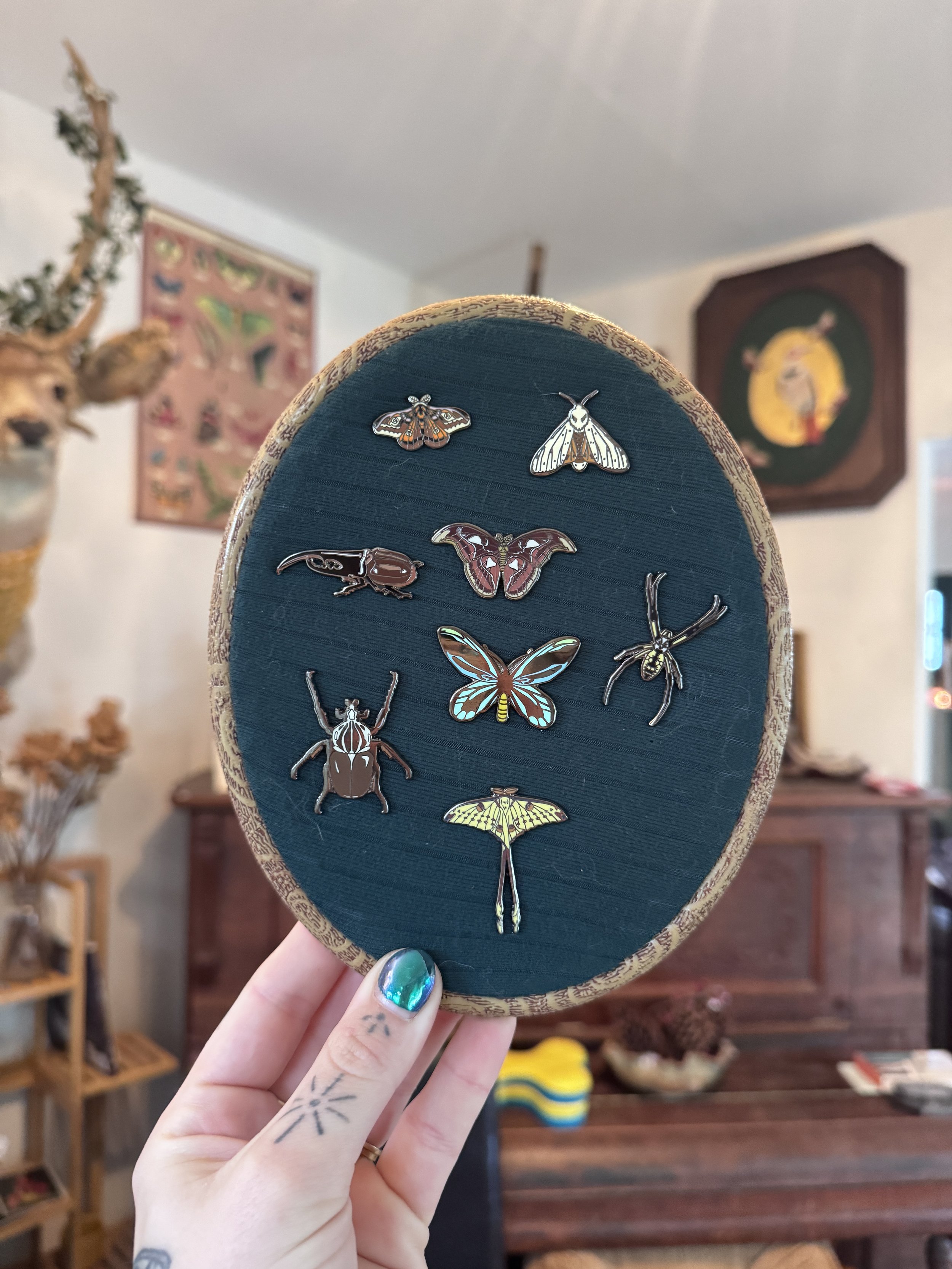 Bug Pins Full Collection