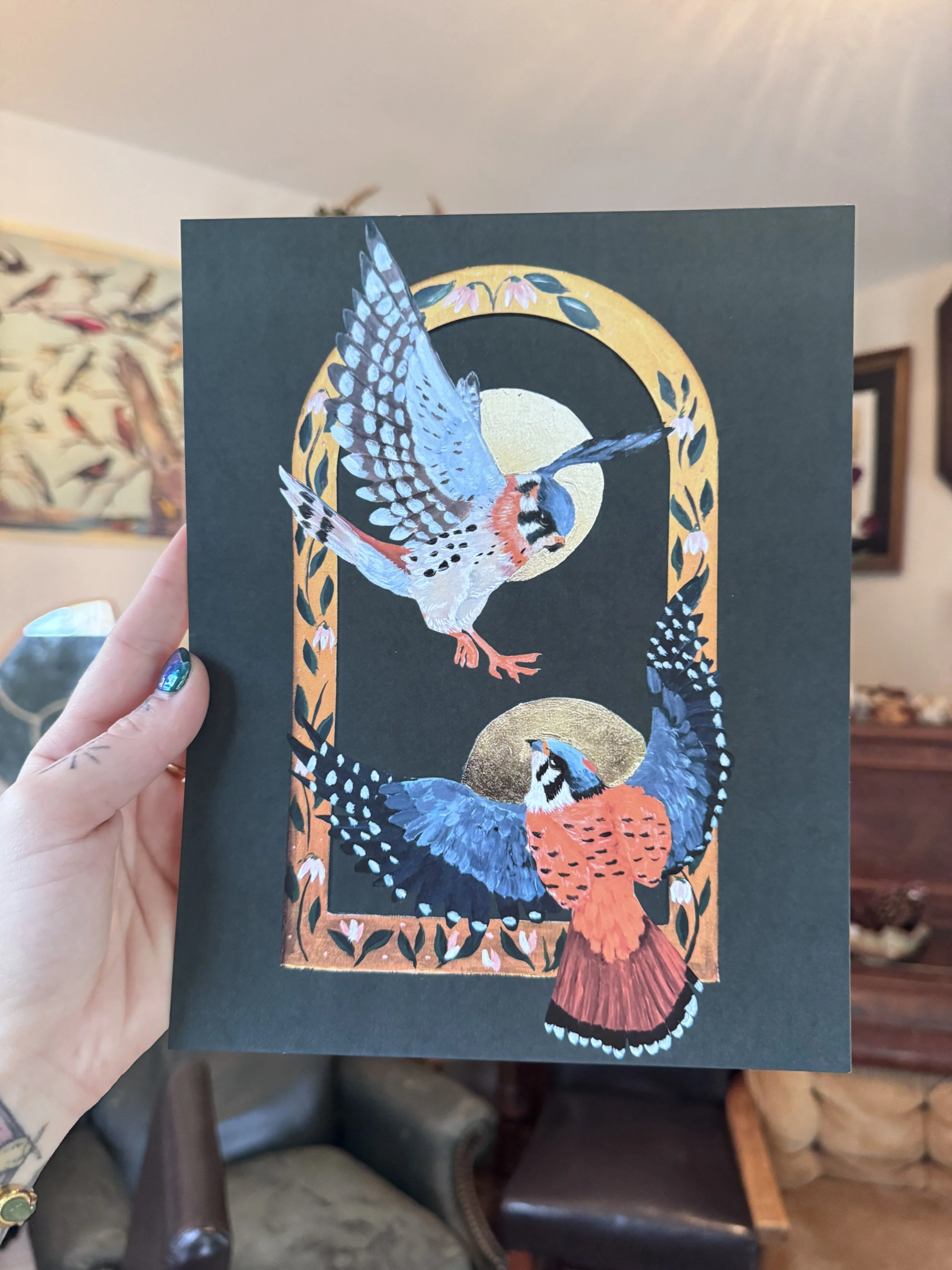 American Kestrels V2