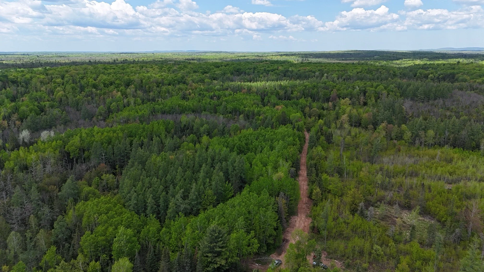 Arial view of a gravel road going through a dense pine forest showcasing some of the 119 Acres of land for sale near Mertig Rd.