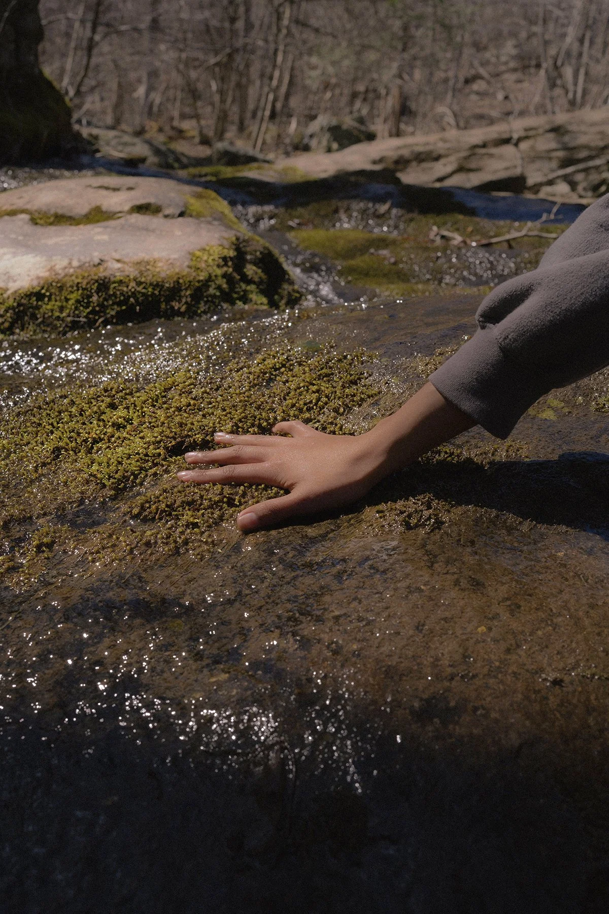 20230326_JND_0037 lowered contrast + boosted saturation to comp.jpg