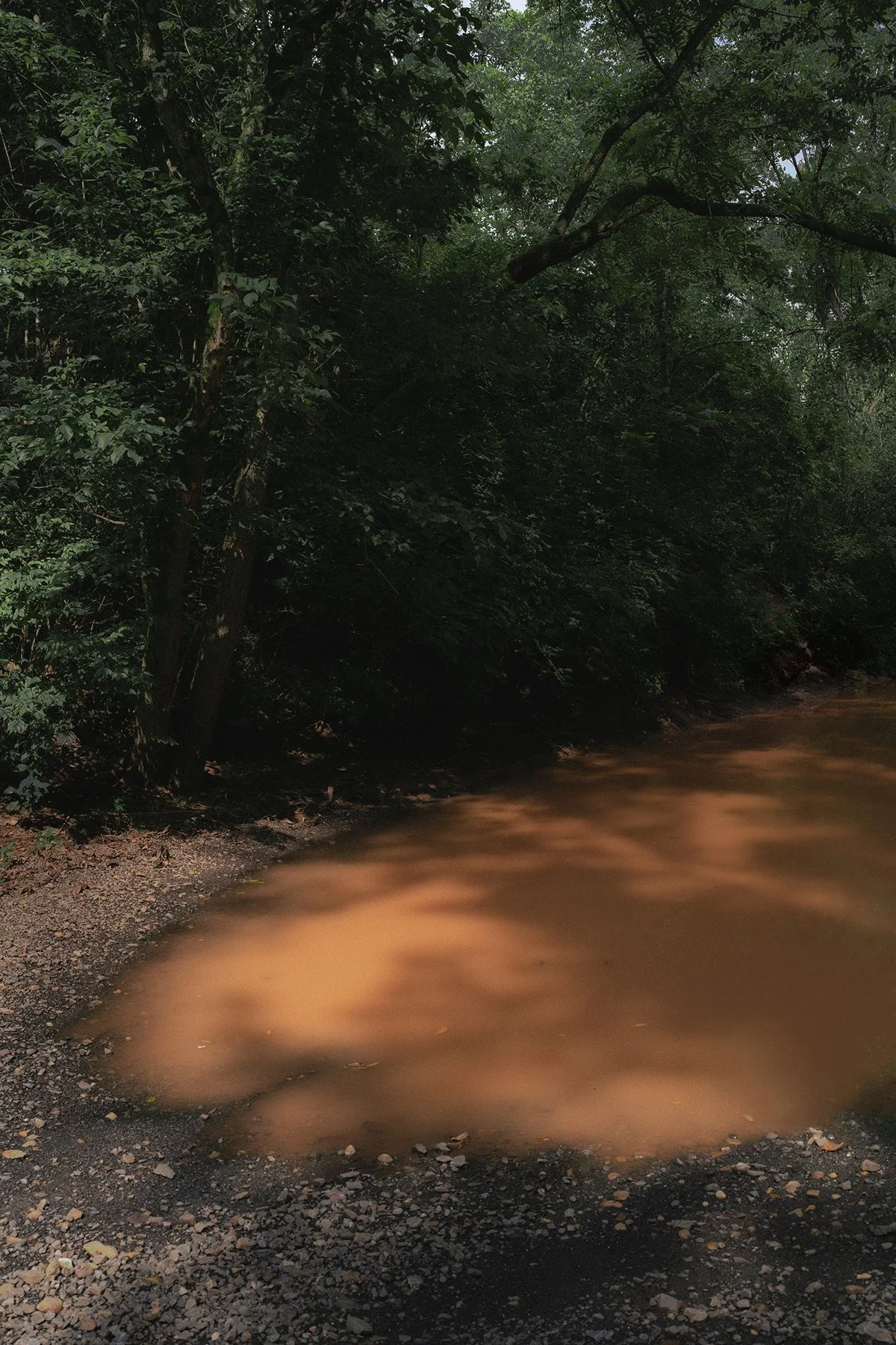 20250820_JND_0021- curve,mann 3 diffused2.jpg