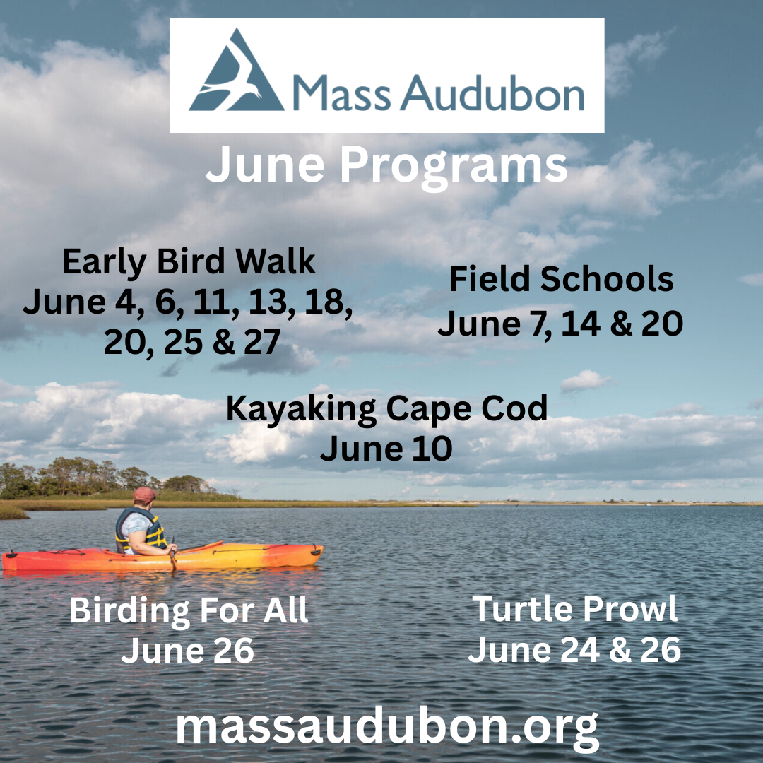 Early Bird Walk at Wellfleet Bay