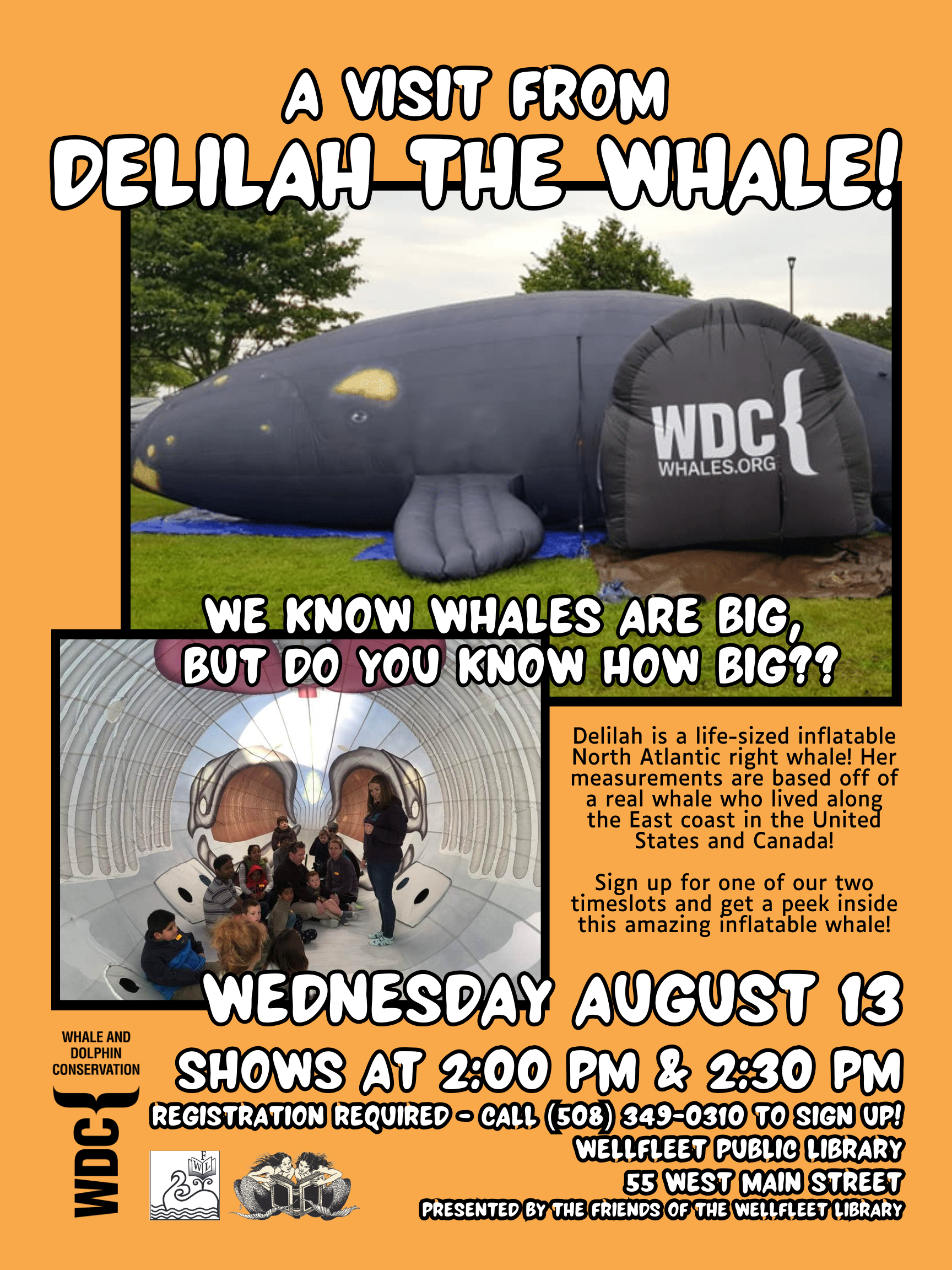 A Visit From Delilah the Whale