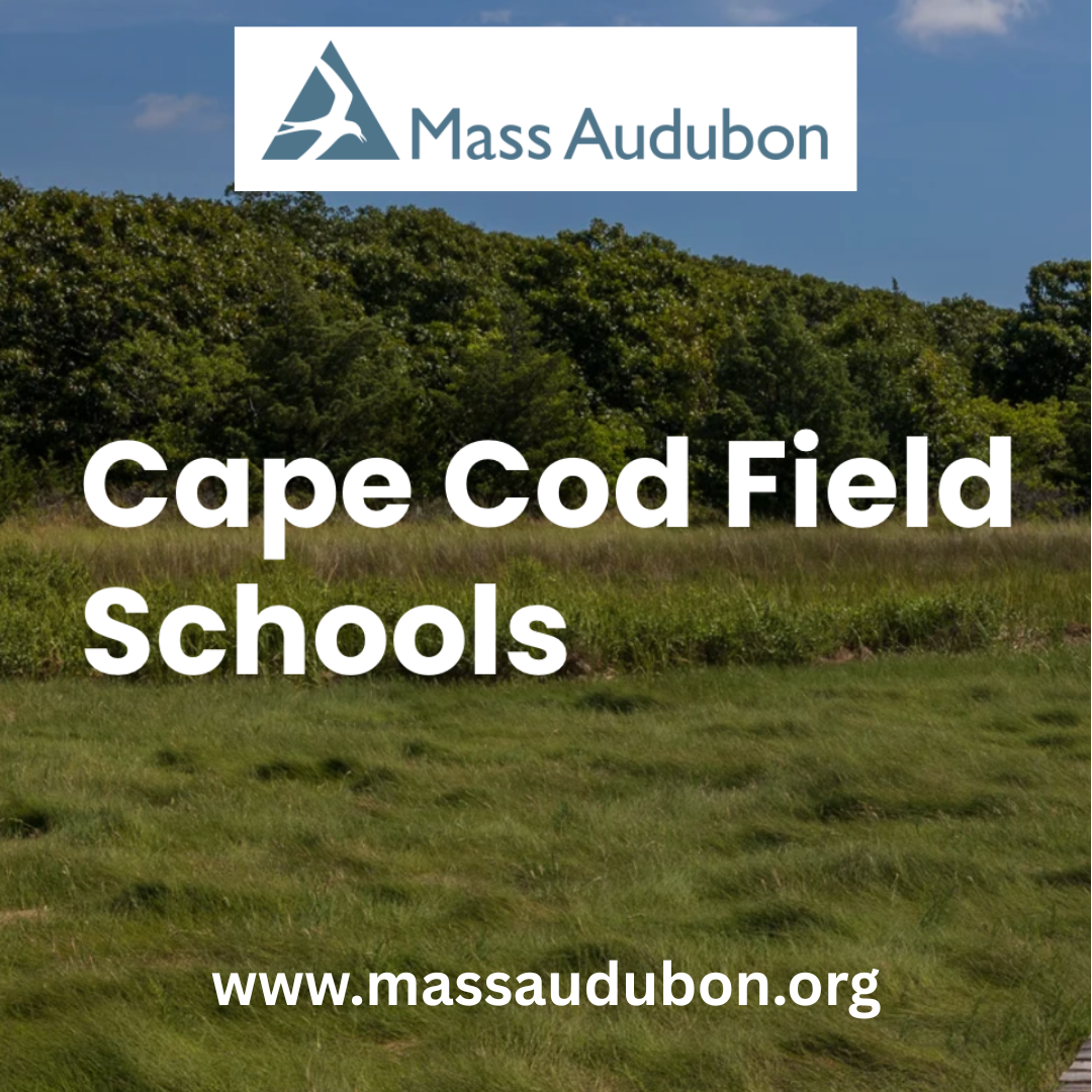 Field School: Birding the Fall Migration