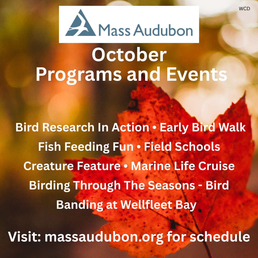 Mass Audubon Weekly Schedule - October