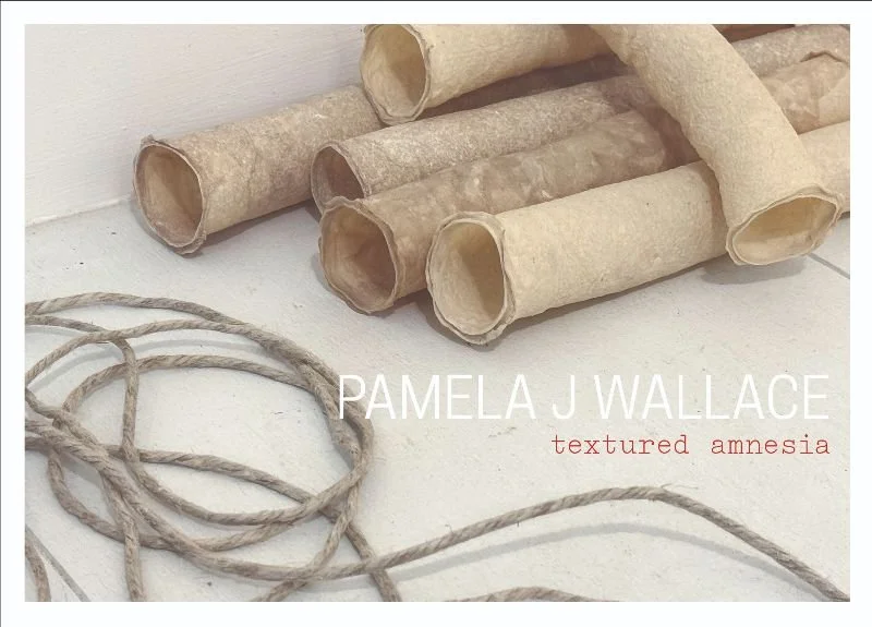 PAMELA J WALLACE textured amnesia