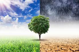 Climate Stories: Listening Session