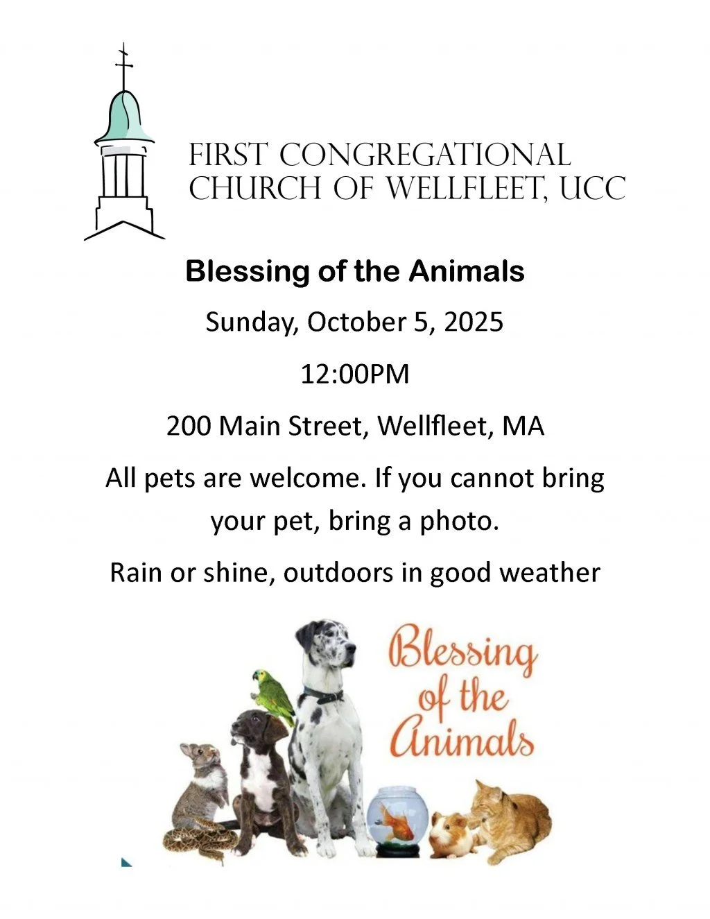 Blessing of the Animals