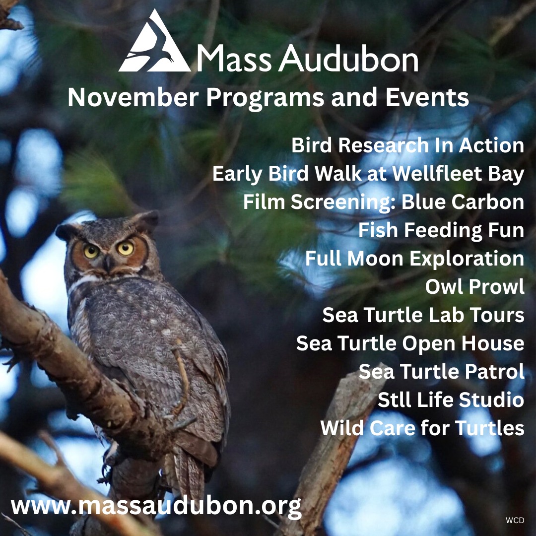Mass Audubon Weekly Schedule - November
