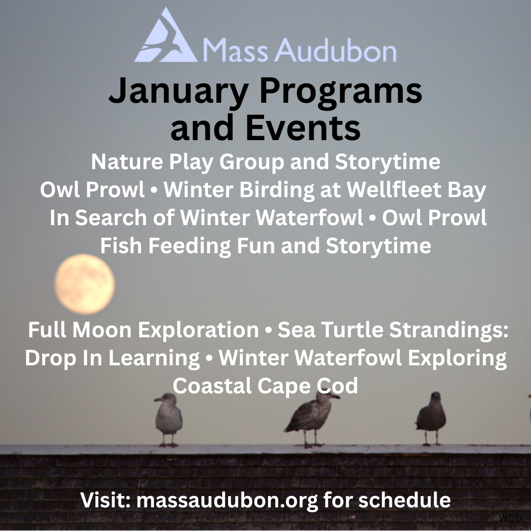 Mass Audubon Weekly Schedule - January
