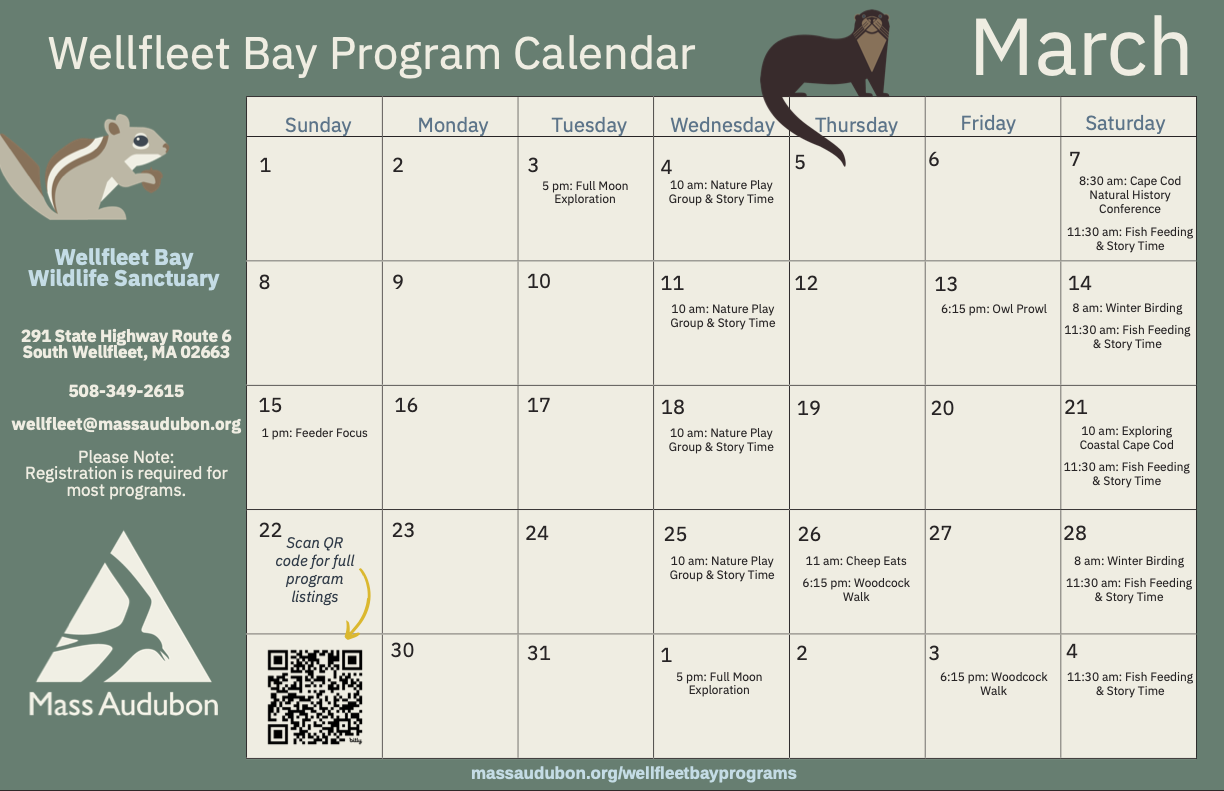 Mass Audubon Weekly Schedule - March