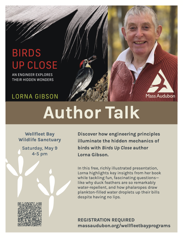 Author Talk:  'Birds Up Close: An Engineer Explores Their Hidden Wonders' by Lorna Gibson