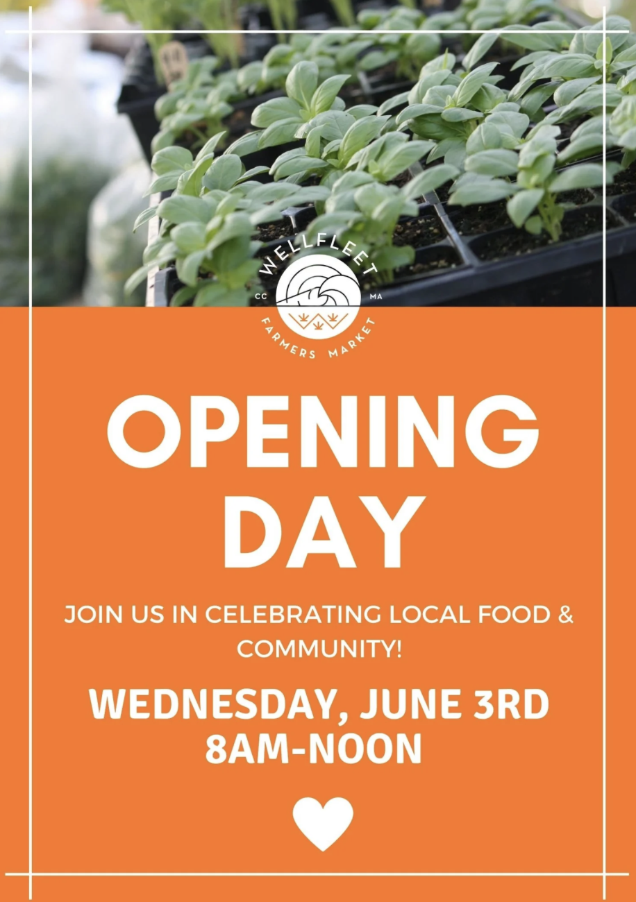 Wellfleet Farmers Market - Opening Day!