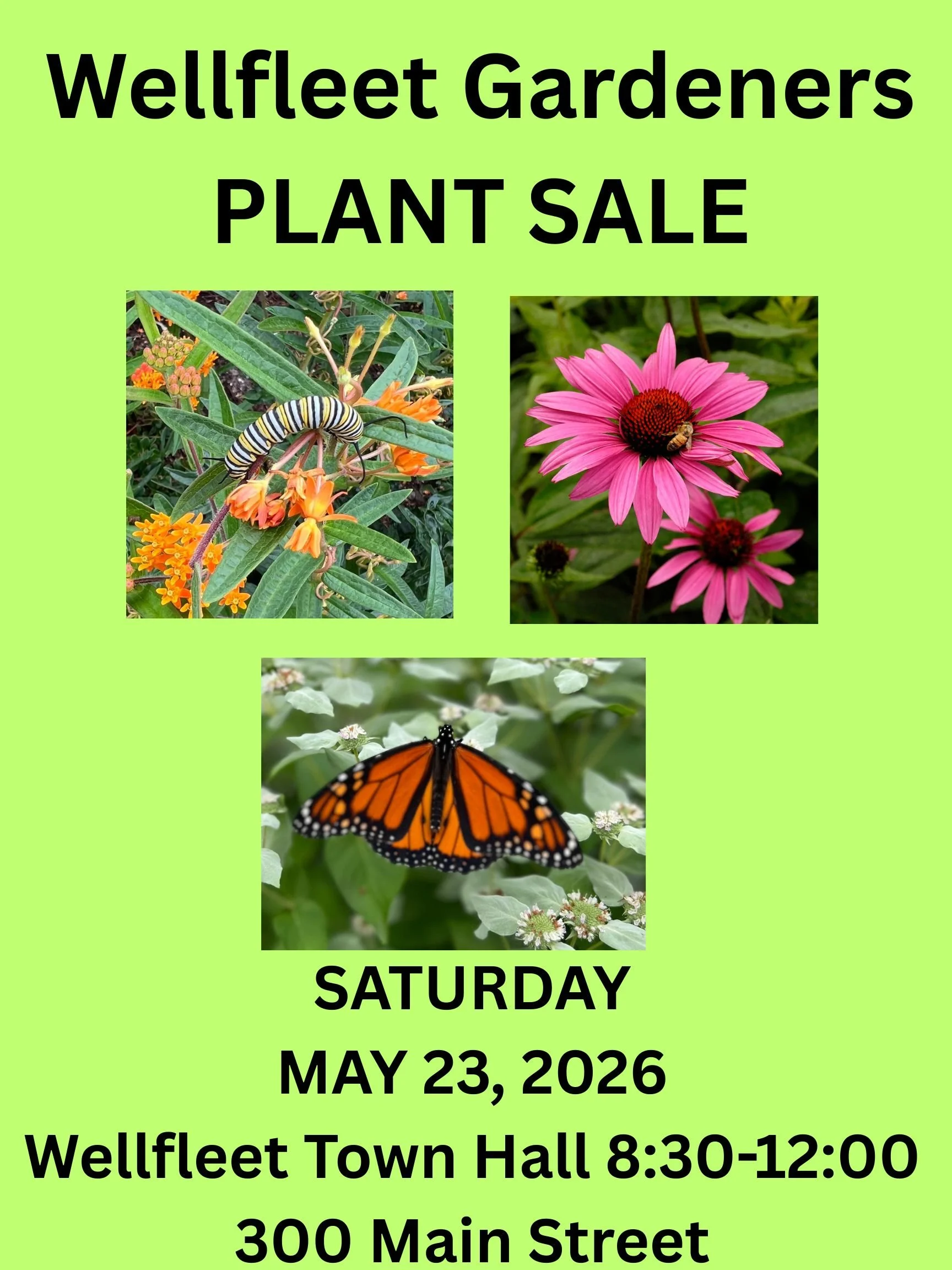 Wellfleet Gardeners Plant Sale