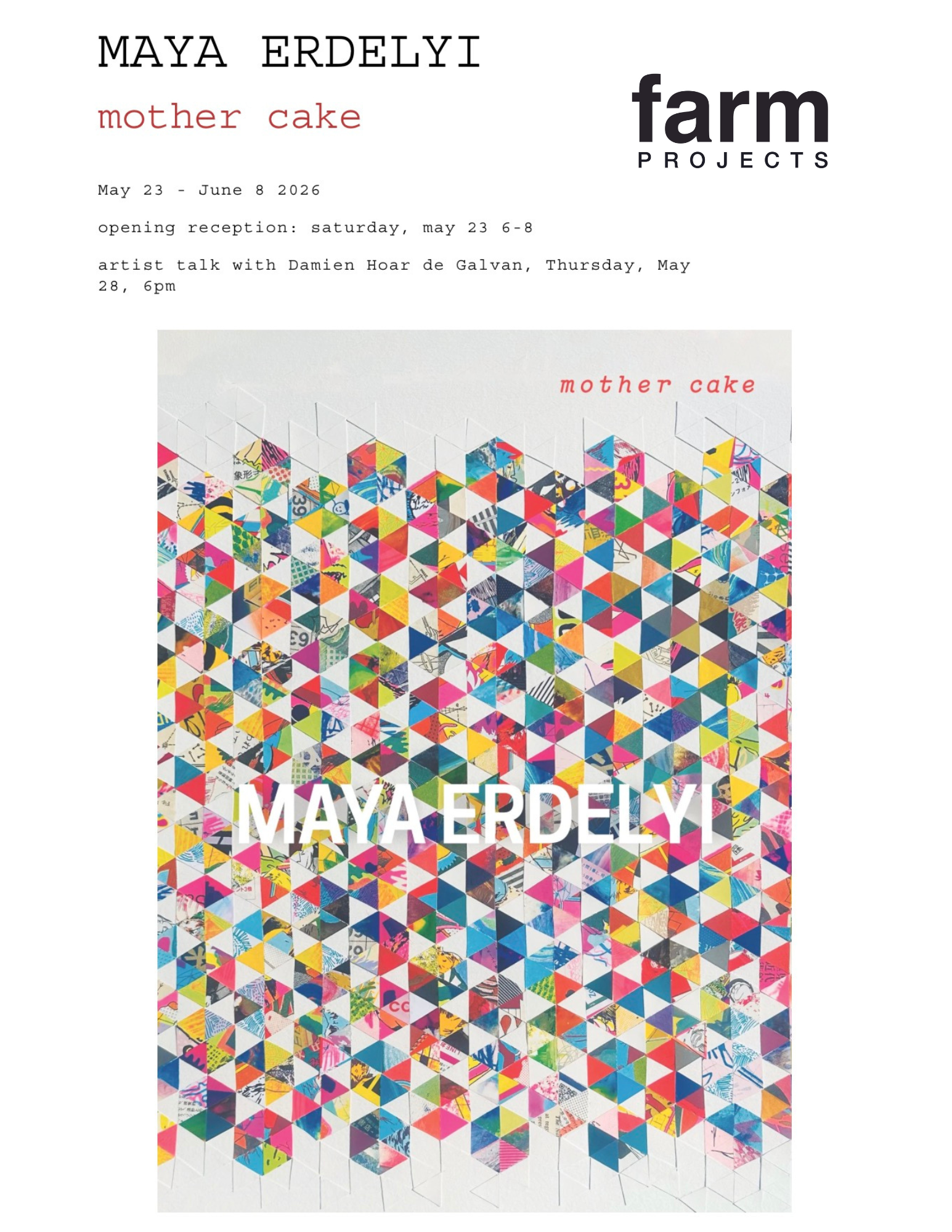 Maya Erdelyi Opening Reception 