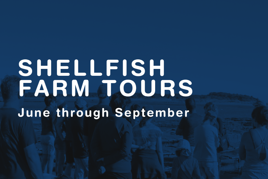 Shellfish Farm Tour