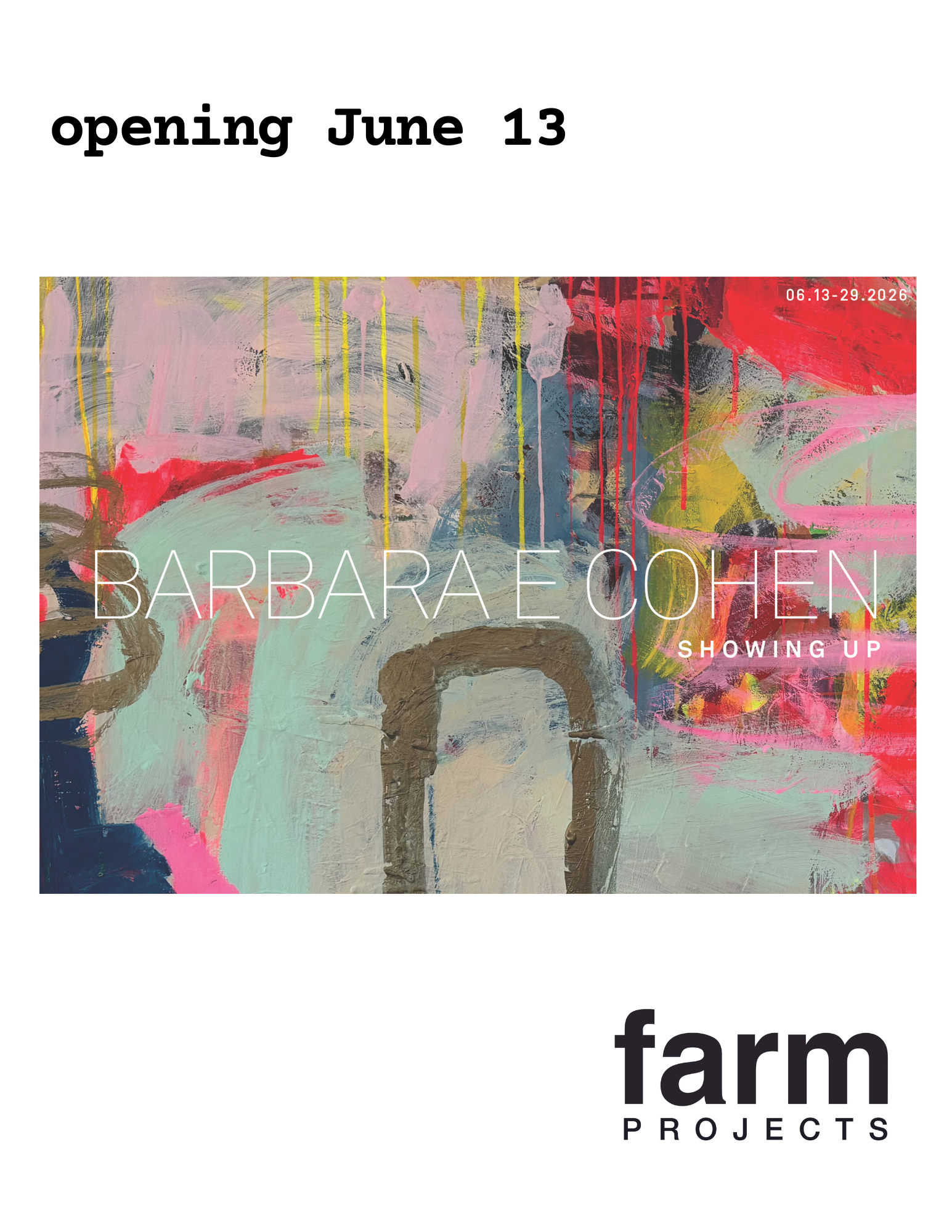 Gallery Opening: Barbara E Cohen