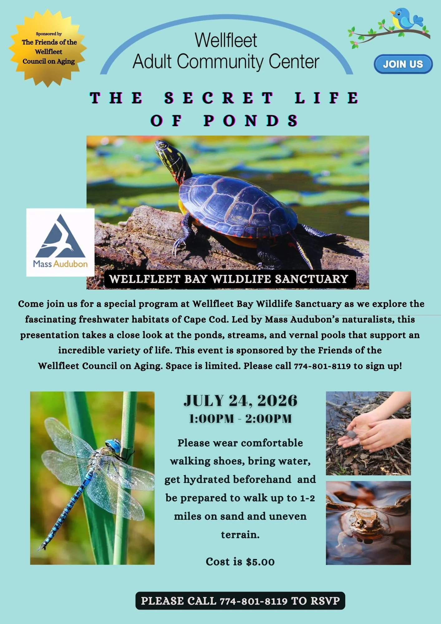 The Secret Life of Ponds