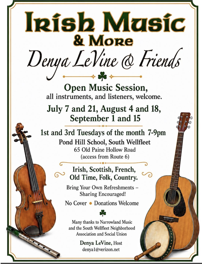Irish Music &amp; More with Denya LeVine &amp; Friends