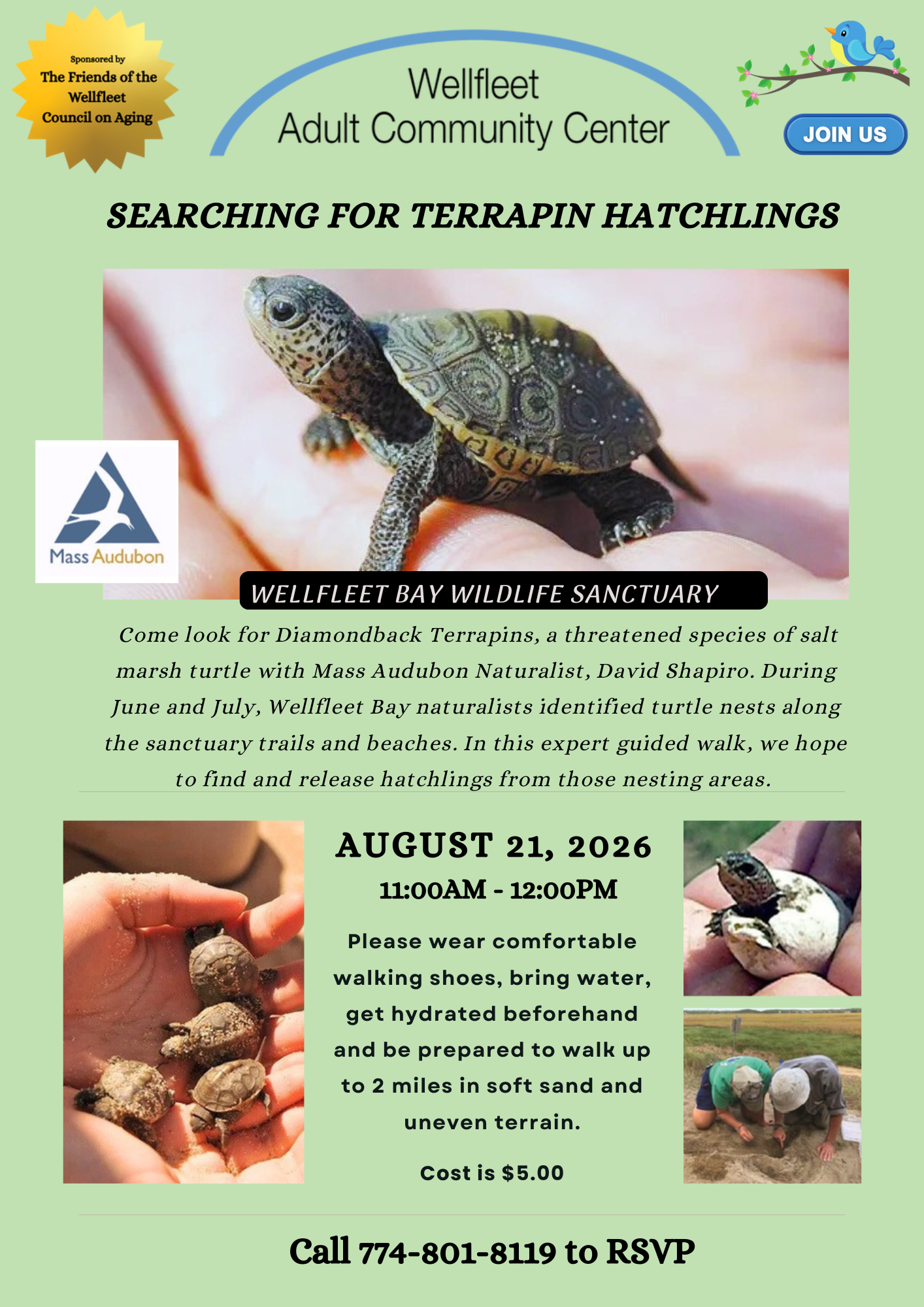 Searching for Terraphin Hatchlings