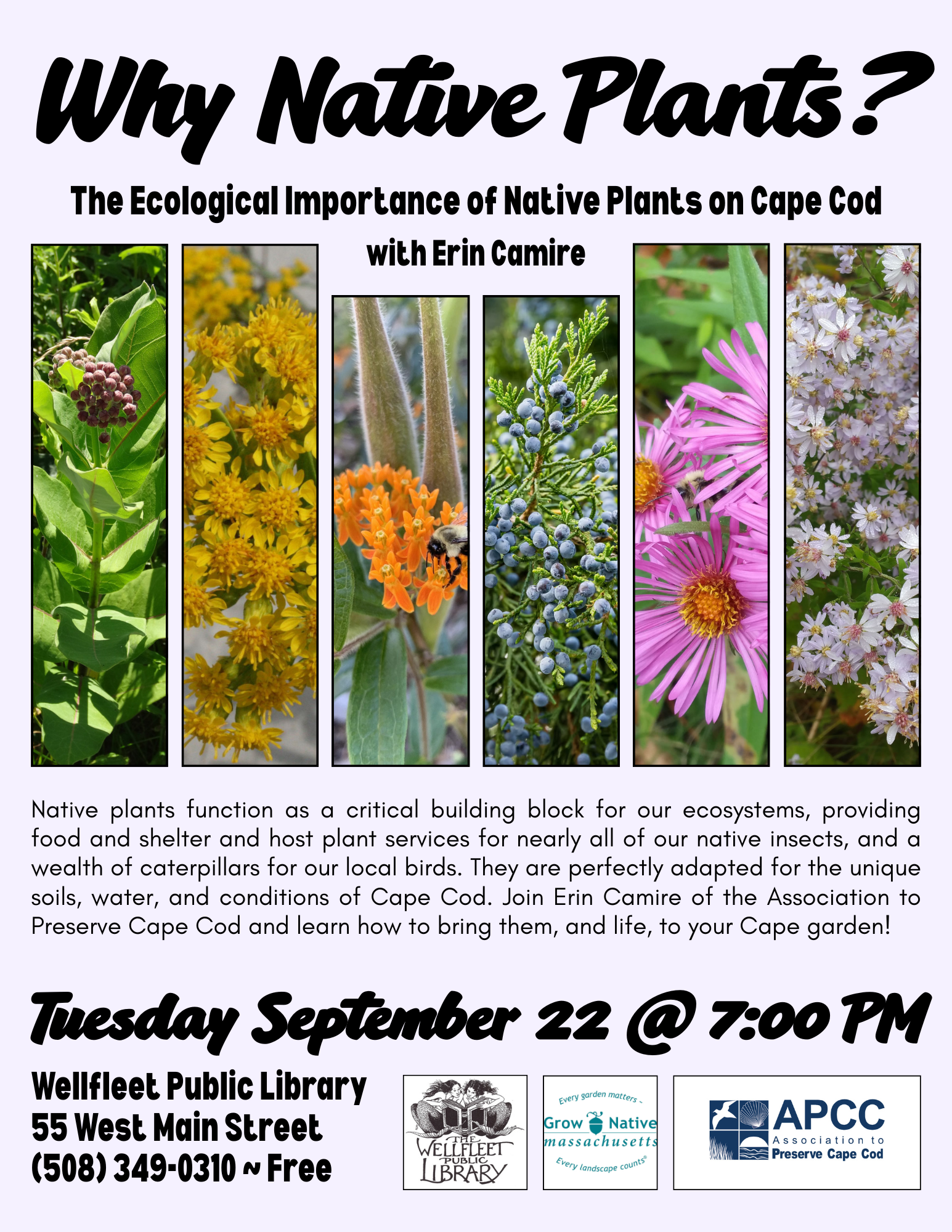 Why Native Plants?