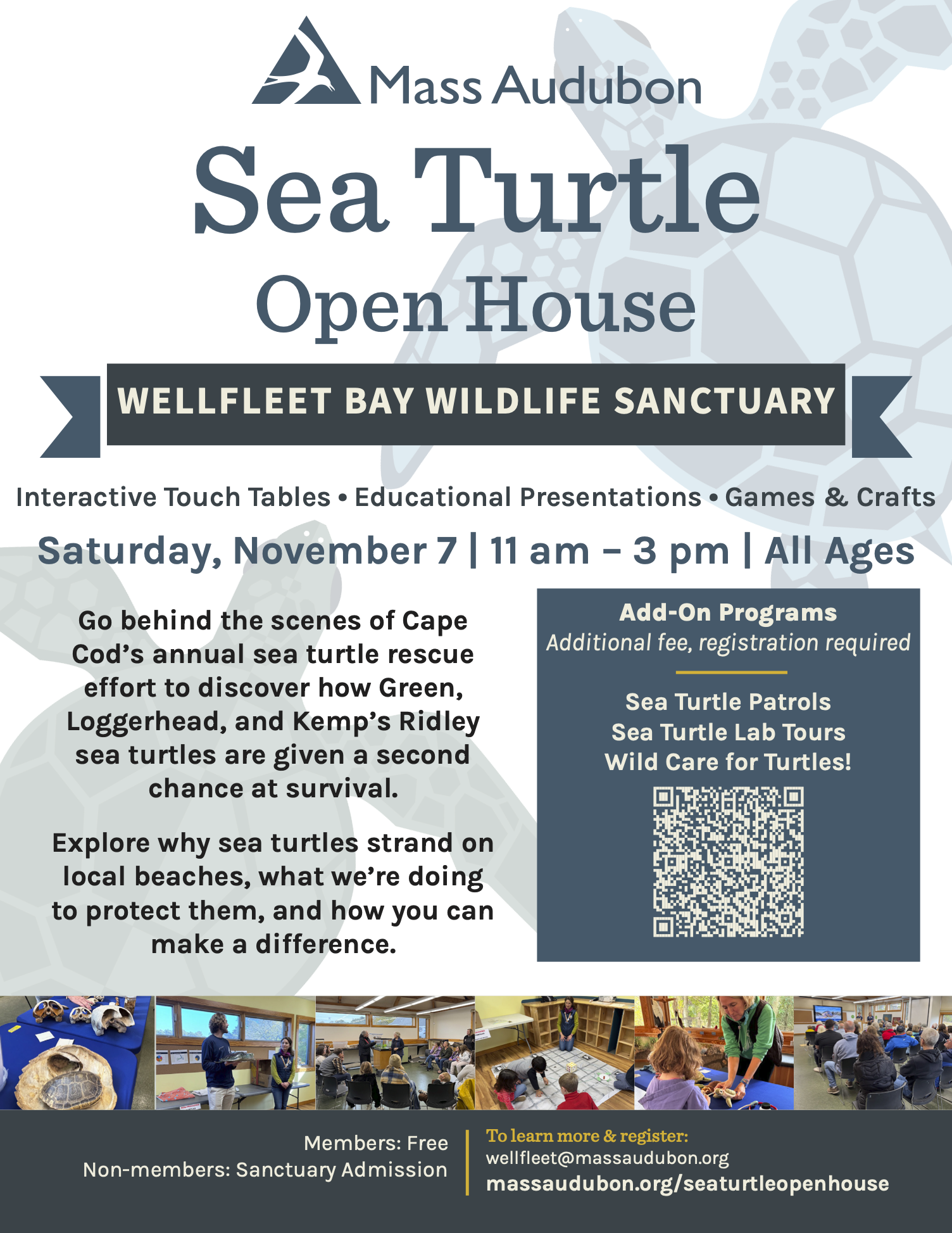 Sea Turtle Open House