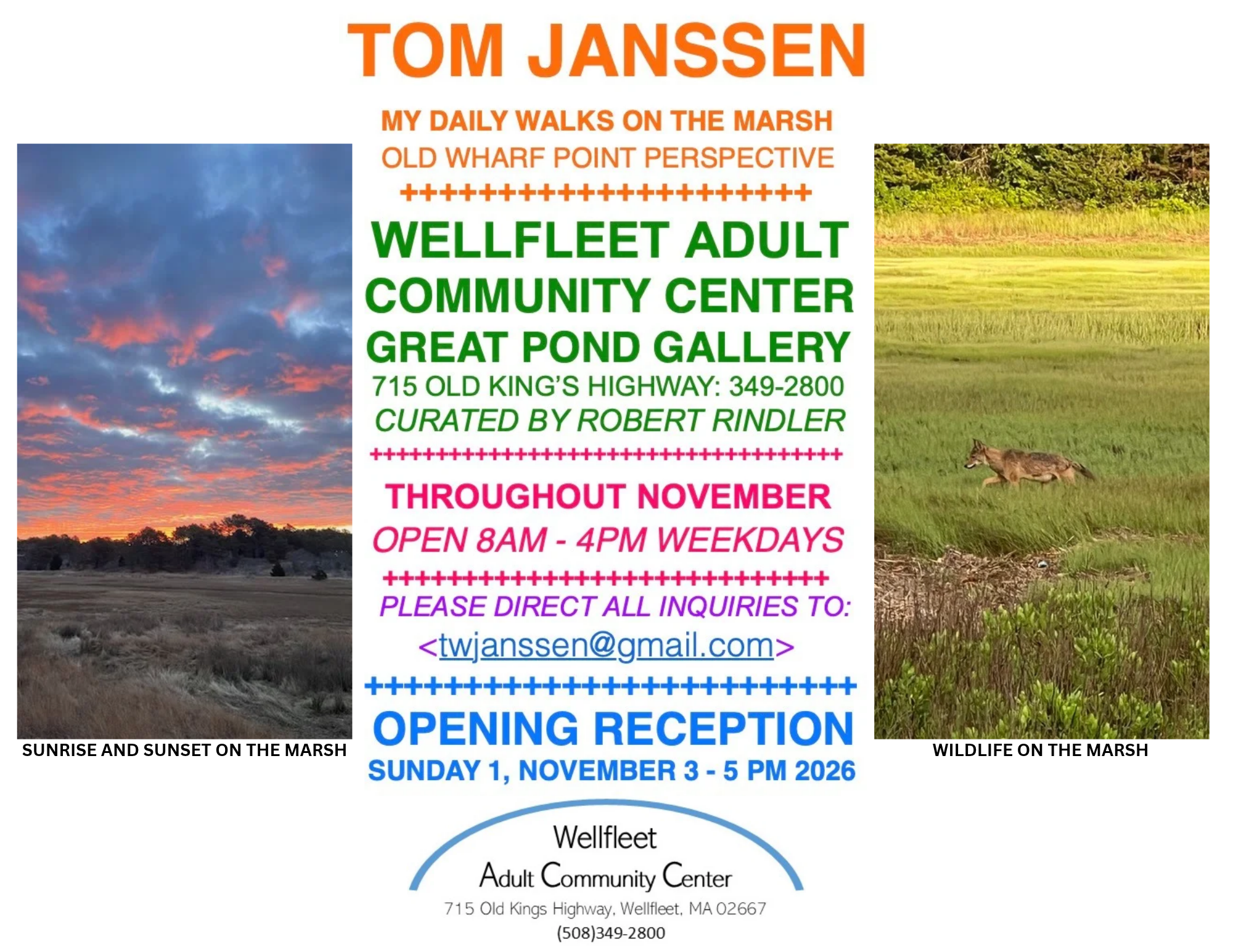 Opening Reception: Tom Janssen 